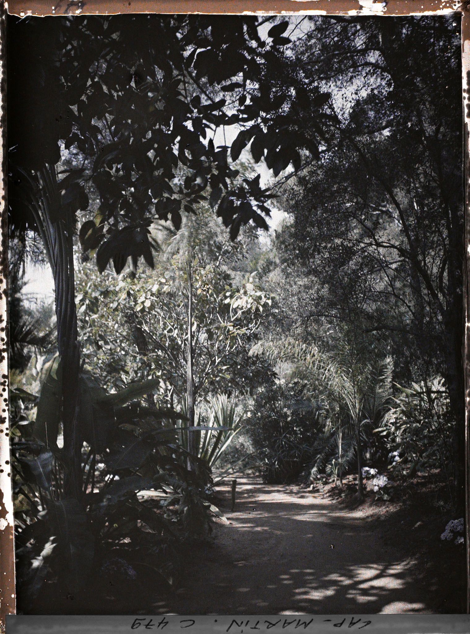 Image représentant Cap Martin Le Jardin