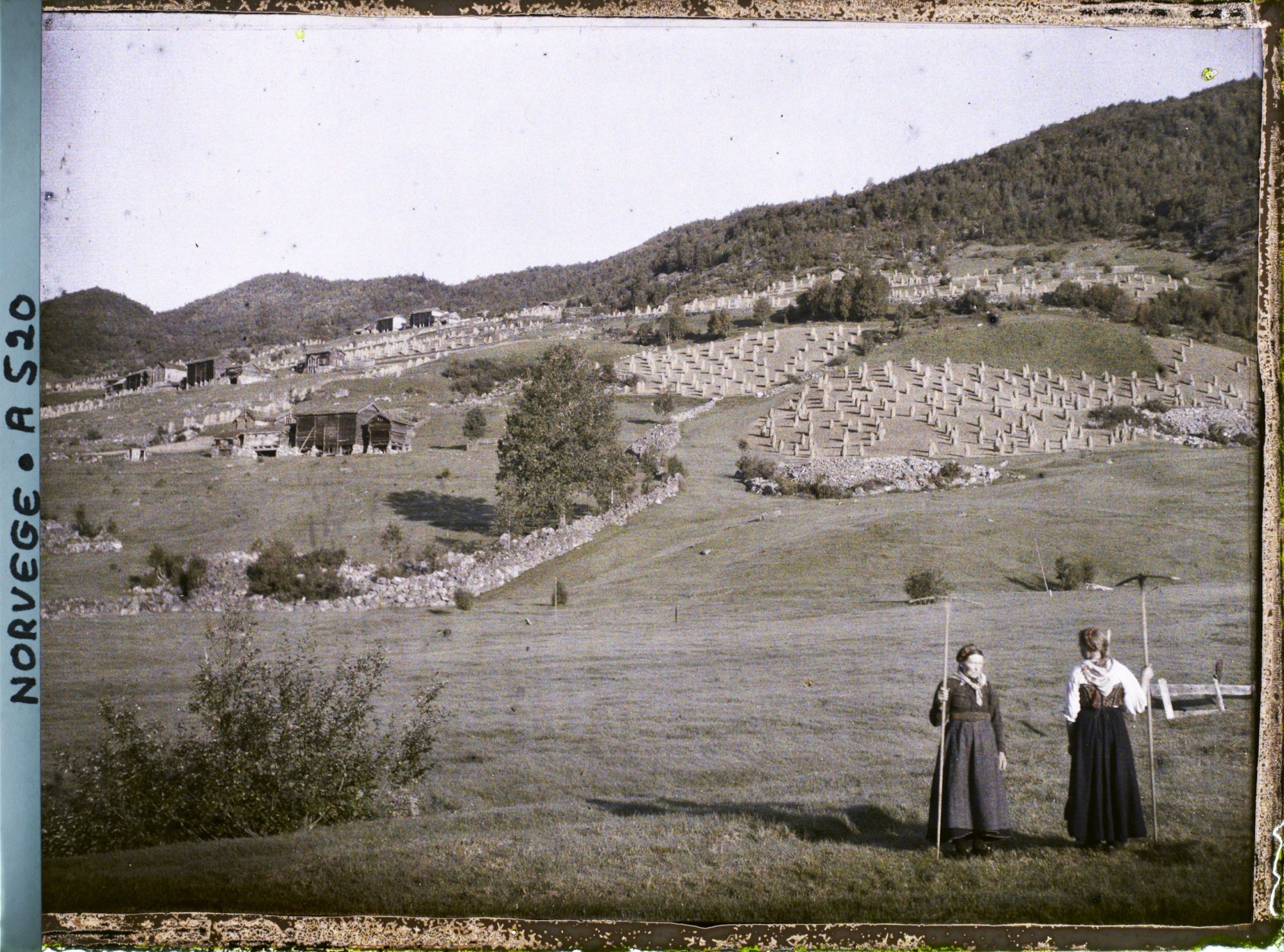 Image représentant Champs à Haukeligrend près d'Edland