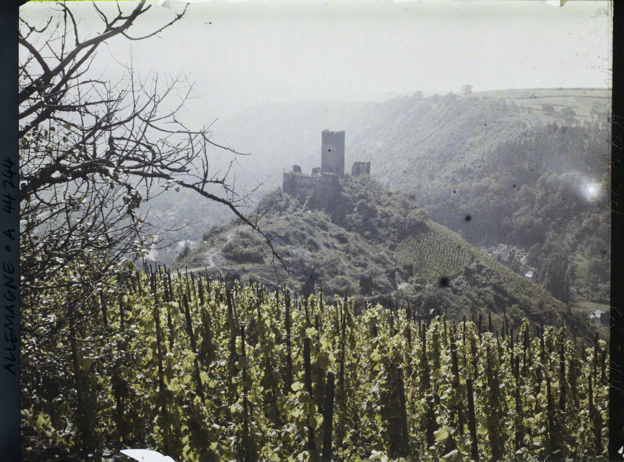 Image représentant Allemagne, Cobern (Moselle), Le Niederburg et vignes