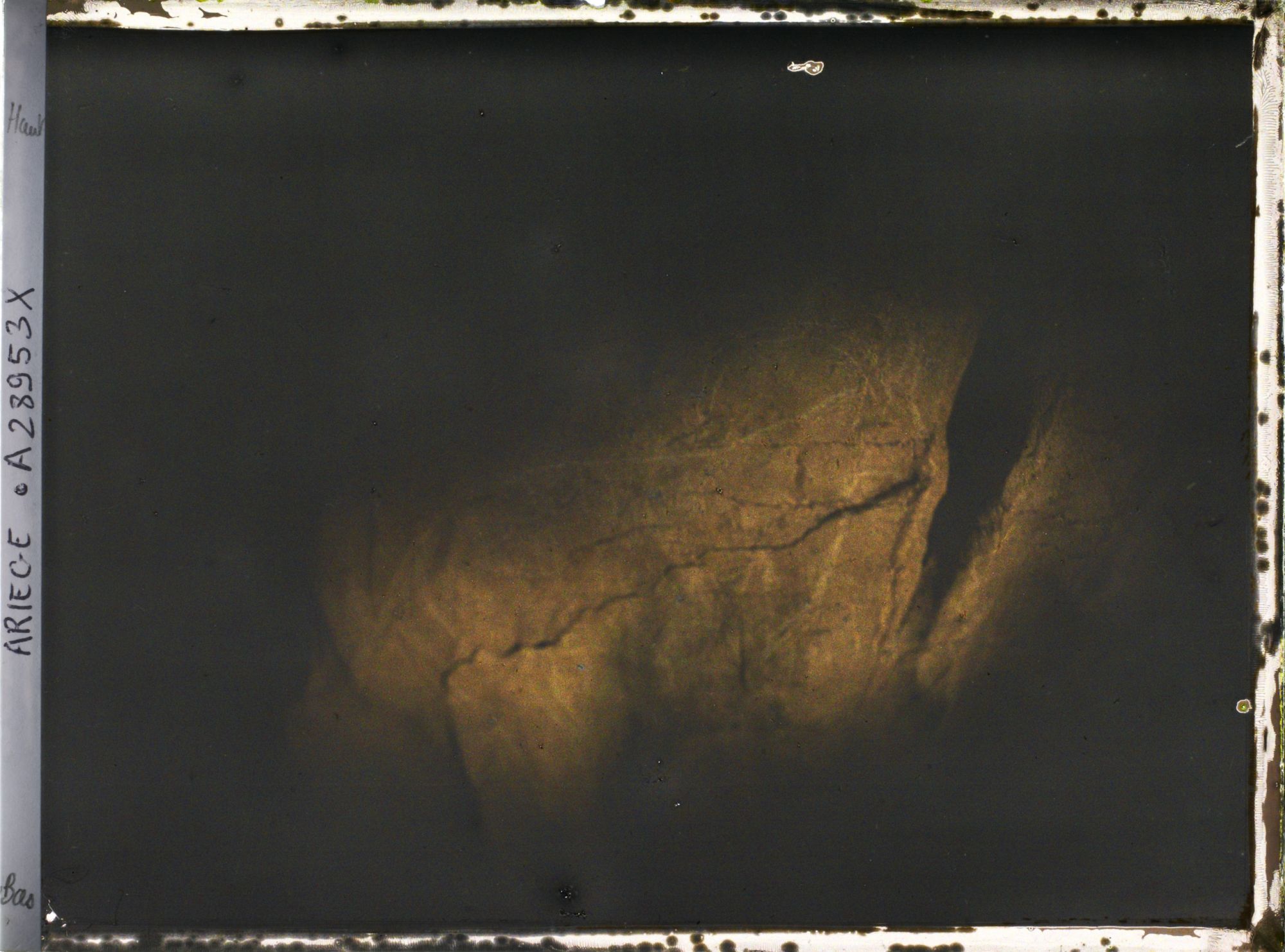 Image représentant La grotte des Trois-Frères : le bouquetin