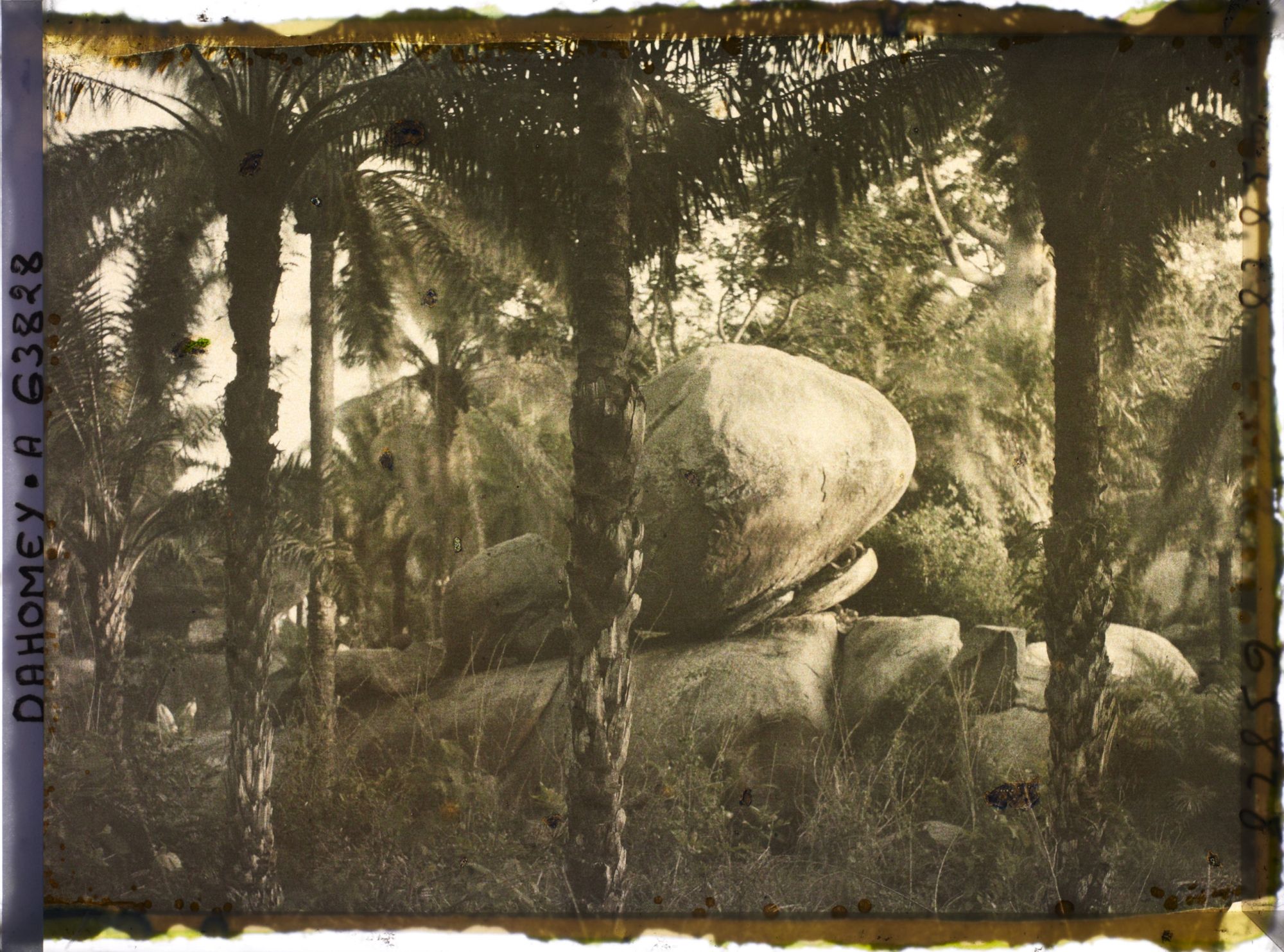 Image représentant Paysage montagneux d'éboulis rocheux