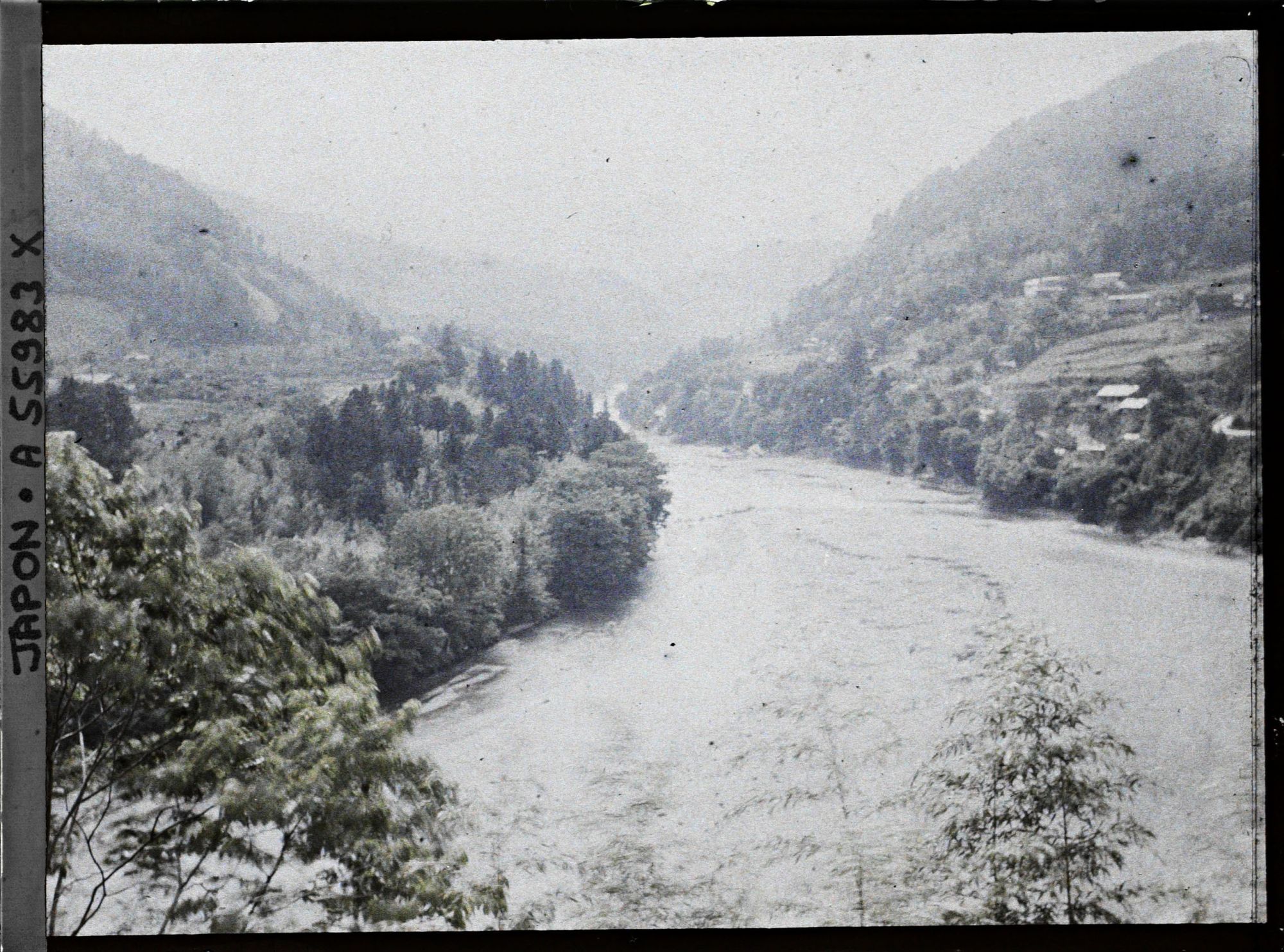 Image représentant Rivière Tamagawa