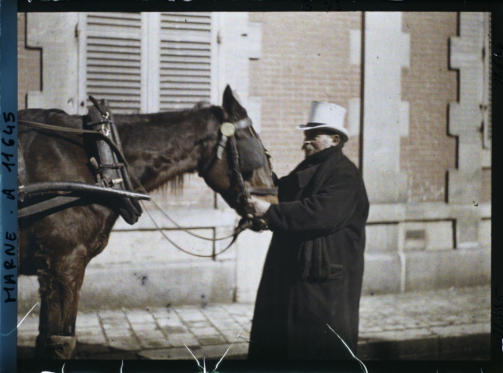 Image représentant France, Reims, Un Cocher calme son cheval pendant le bombardement
