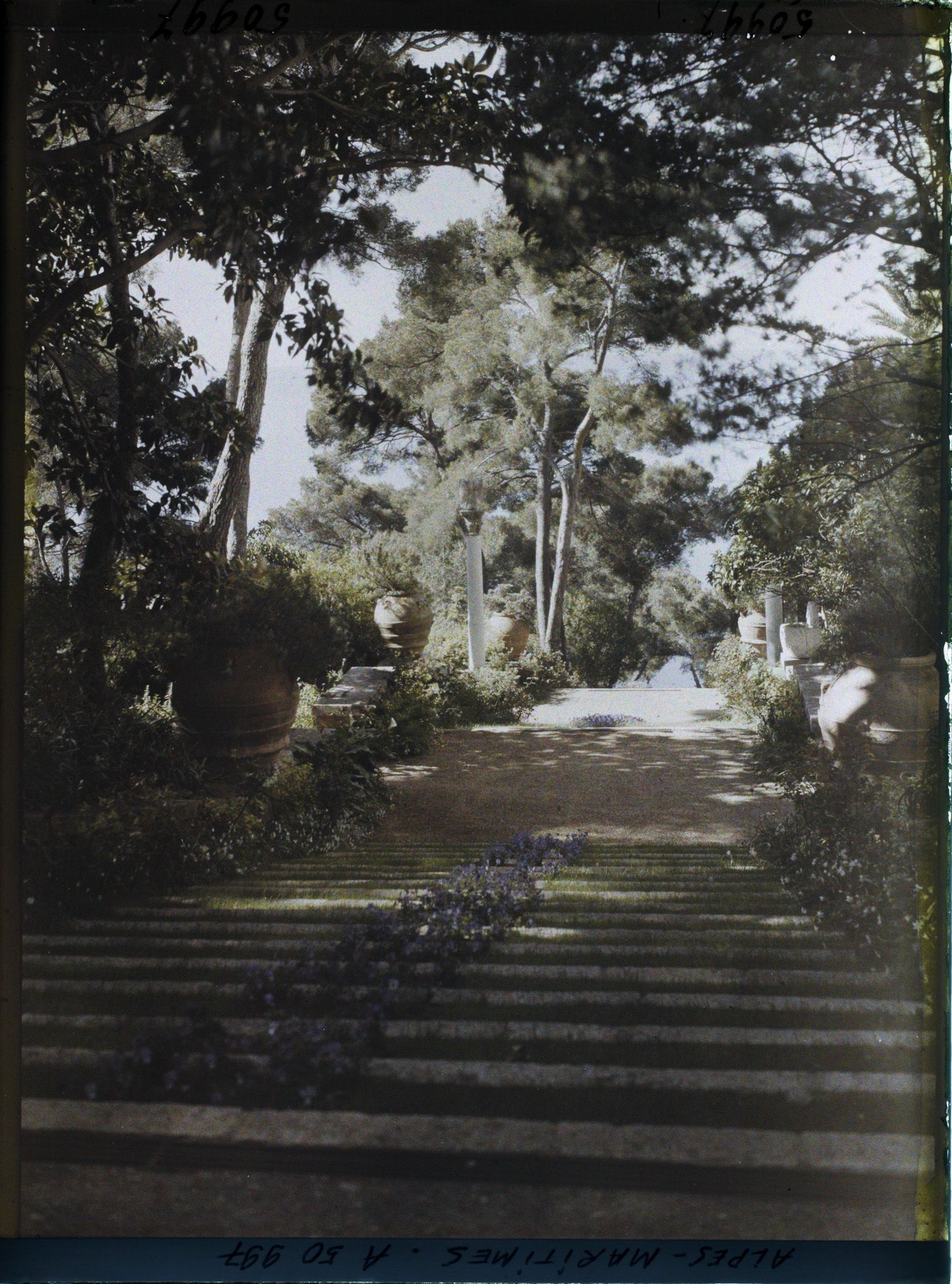 Image représentant Grand escalier fleuri du jardin de la villa Cypris surplombant la mer