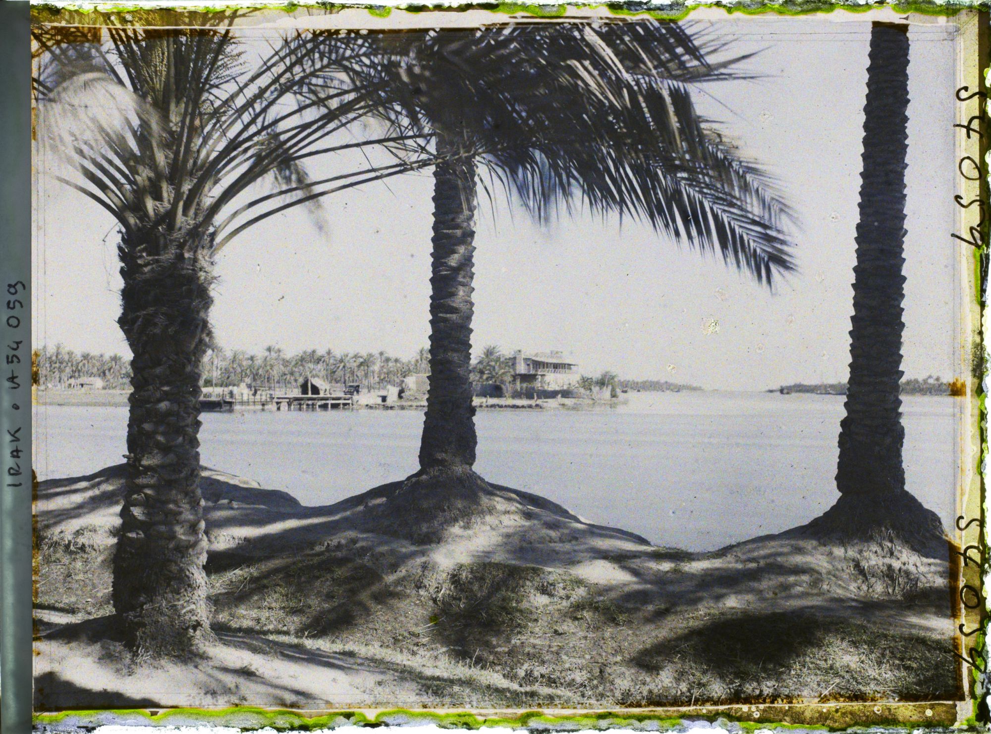 Image représentant Confluent du Tigre et de l'Euphrate