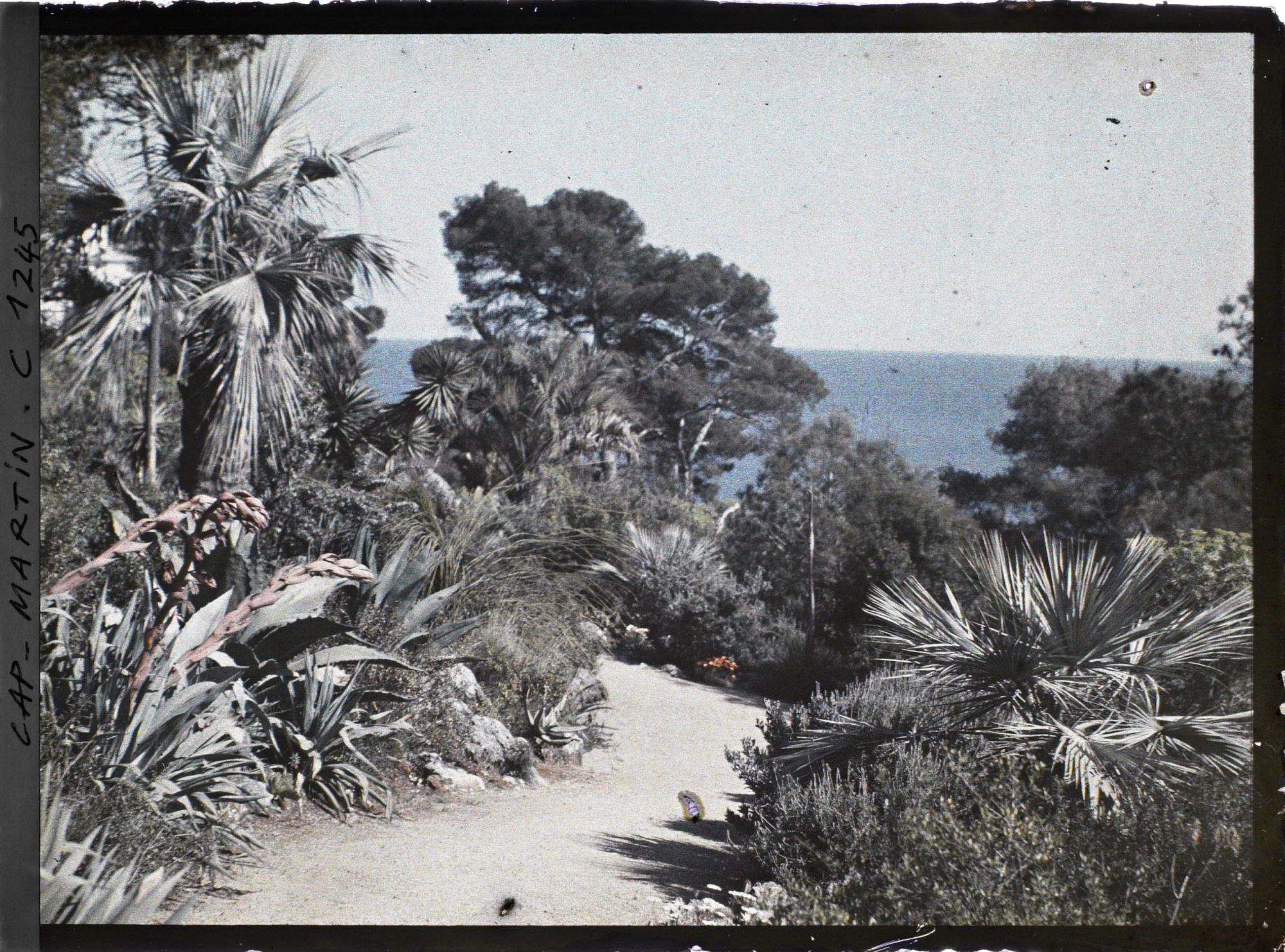 Image représentant le jardin