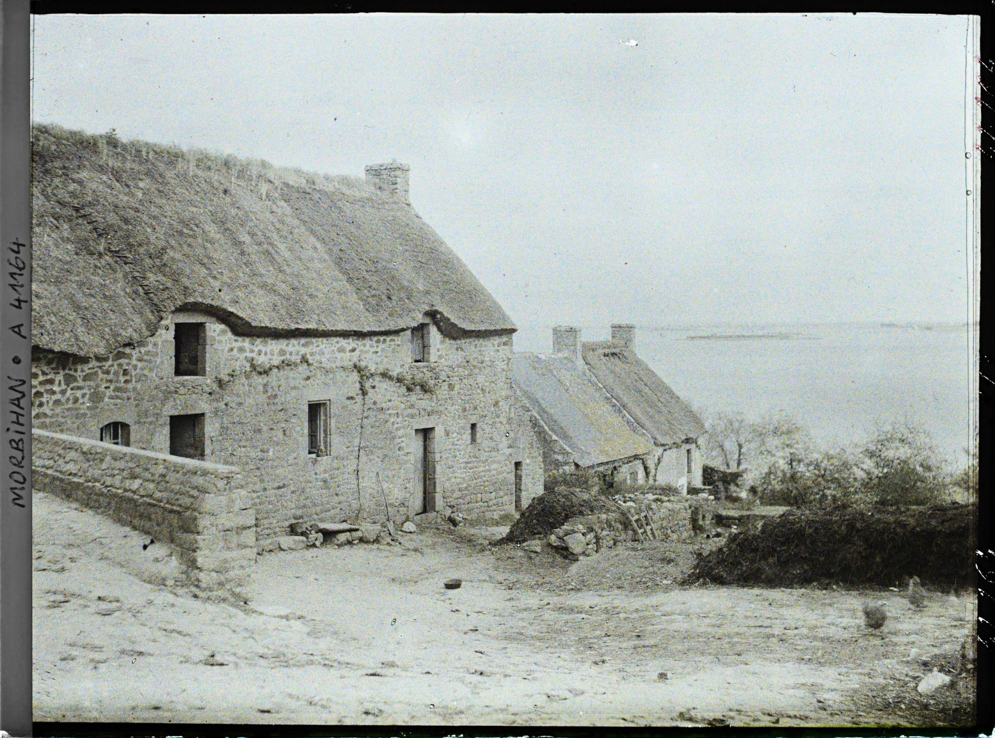 Image représentant Maisons de Locmiquel ; vue prise sur la côte est de l'île
