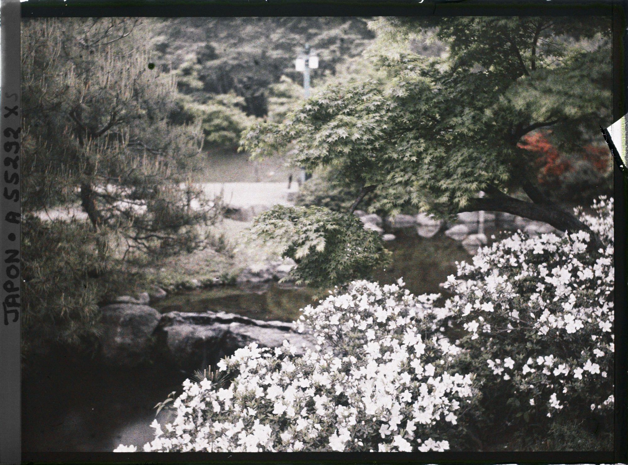 Image représentant Le parc Maruyama (Maruyama kôen)
