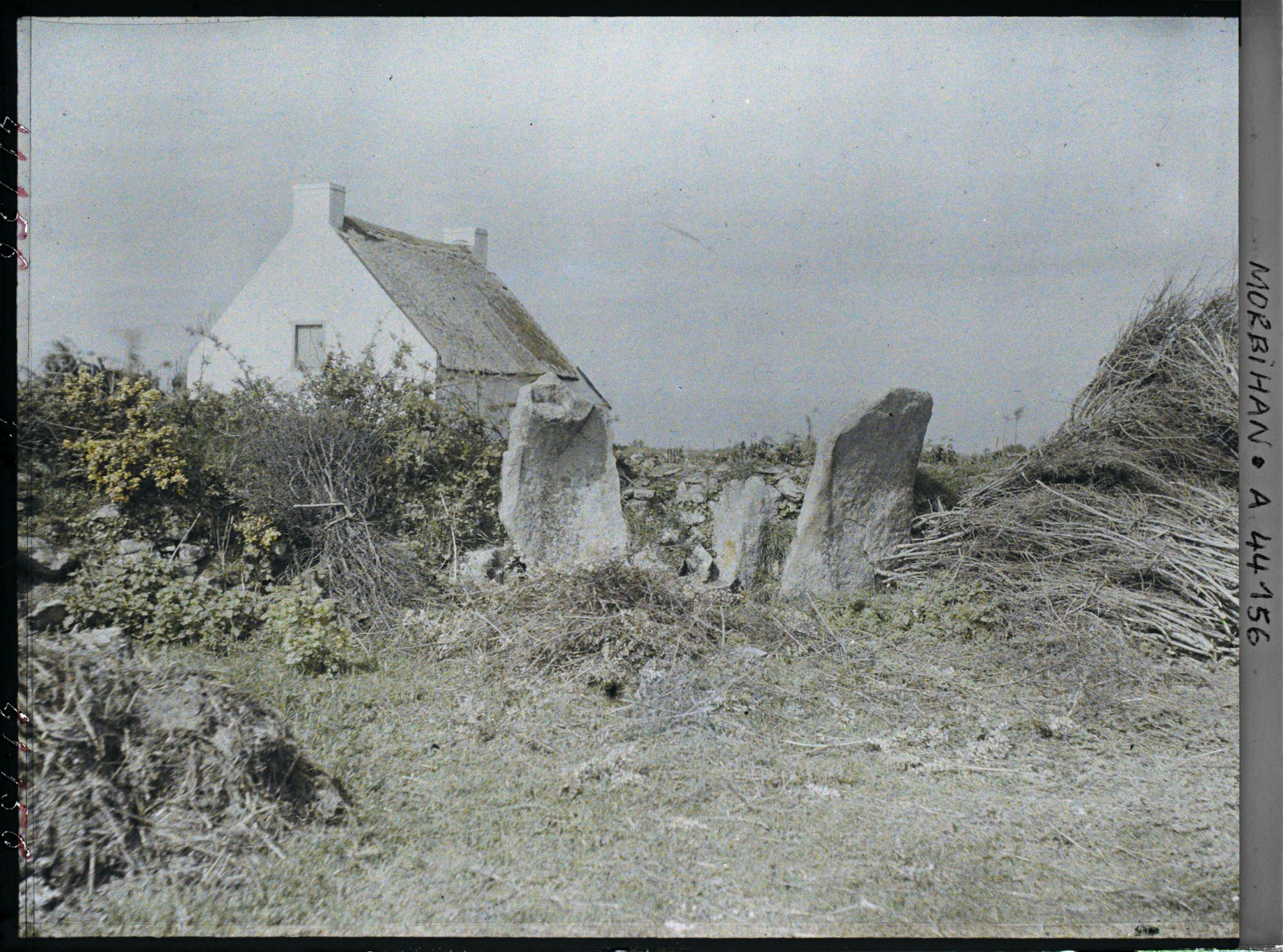 Image représentant Deux pierres levées du cromlech de Kergonan
