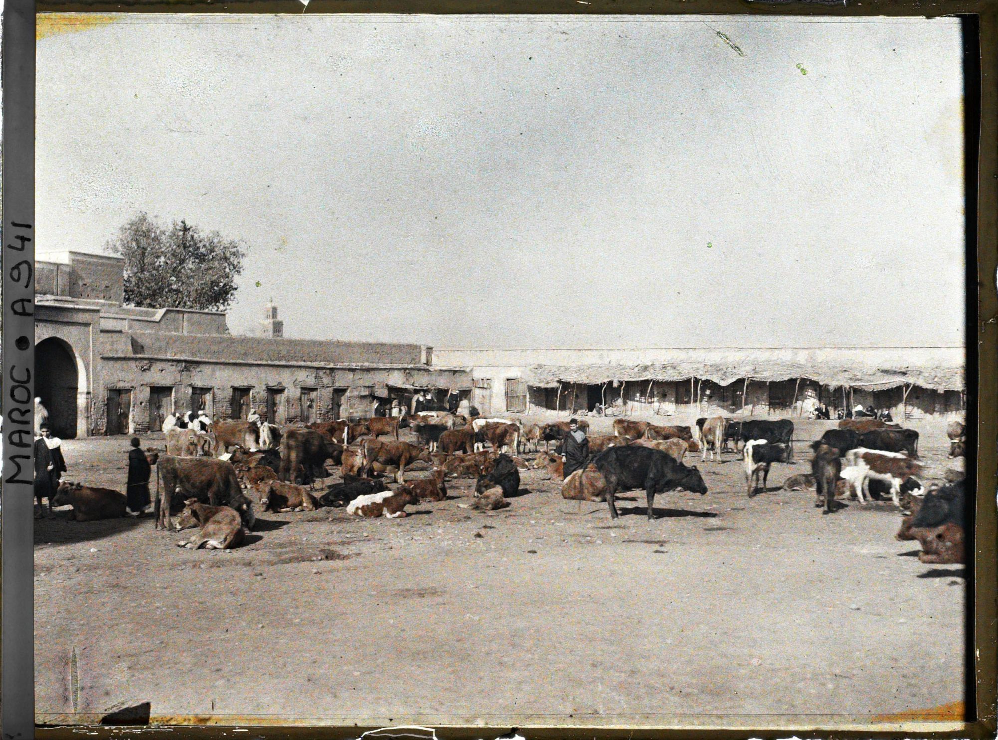 Image représentant Le marché du mellah