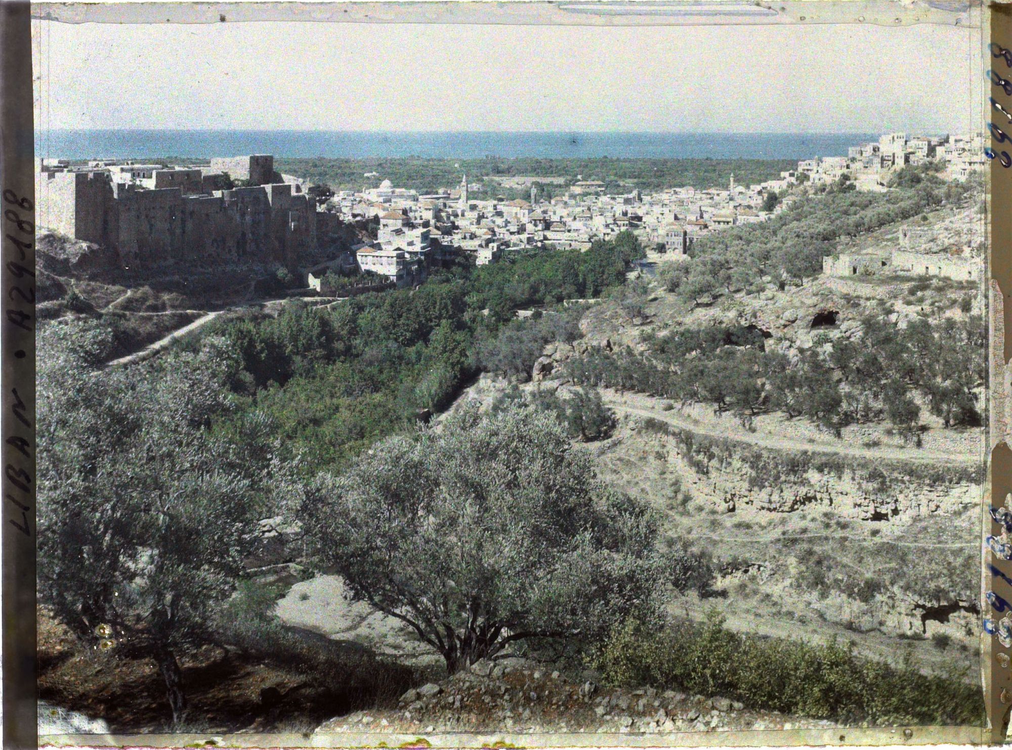 Image représentant Panorama de la ville avec le Château de Saint-Gilles