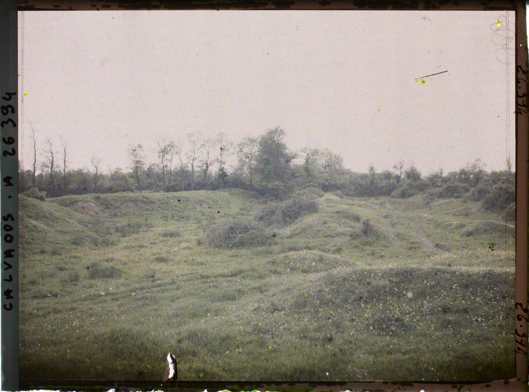 Image représentant Aspect du terrain pouvant déterminer l'emplacement des fossés doubles du château fort de Maisy