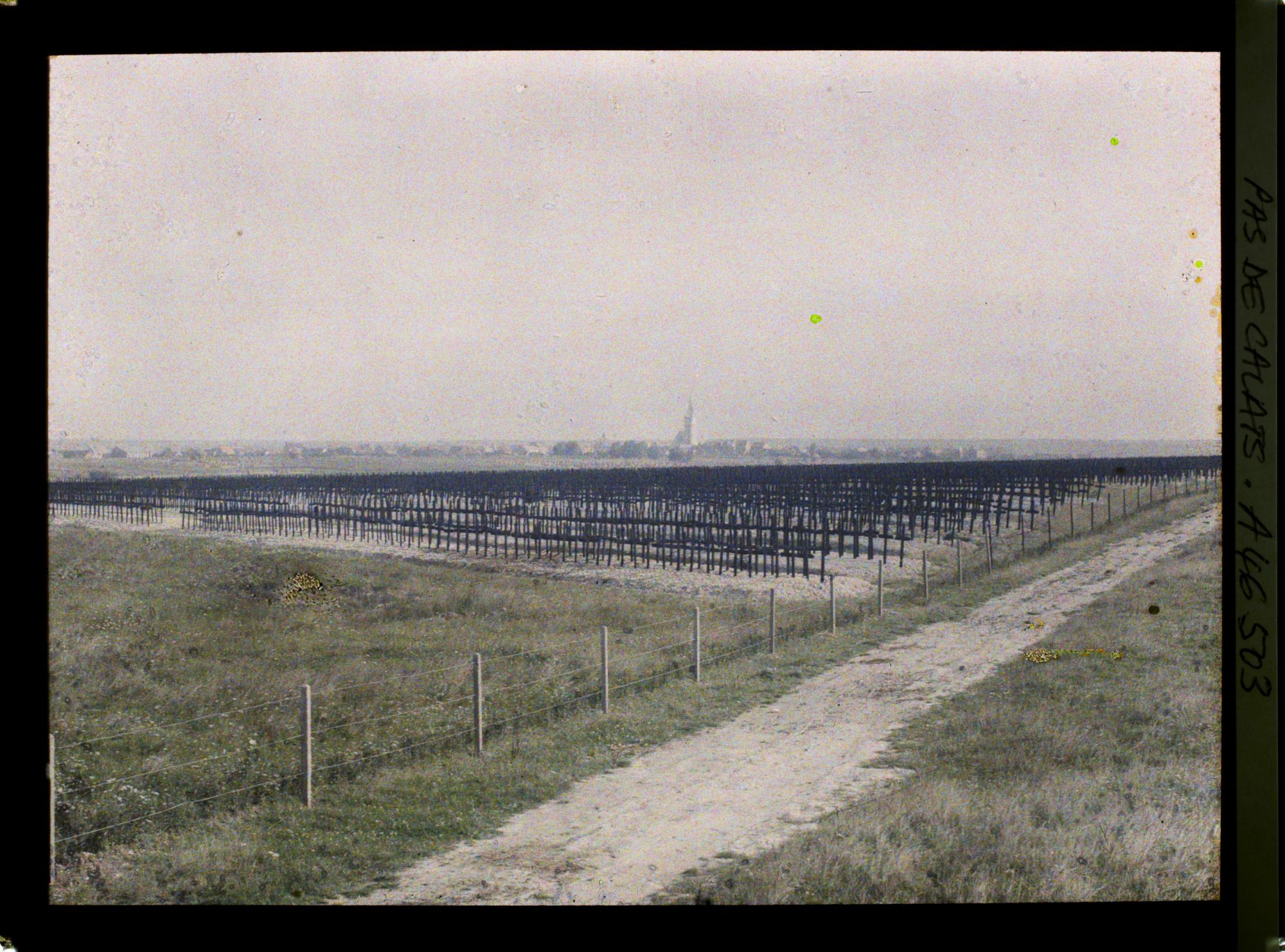 Image représentant France, La Targette, Gd Cimetière Allemand de 50.000 Tombes