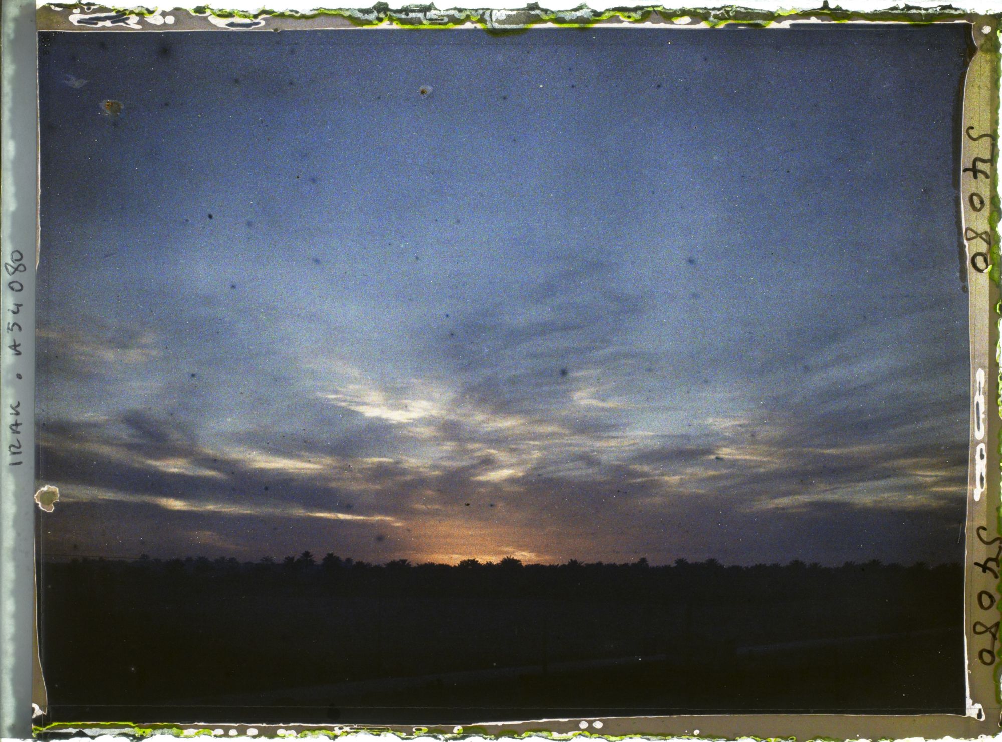 Image représentant Coucher de soleil sur les palmeraies