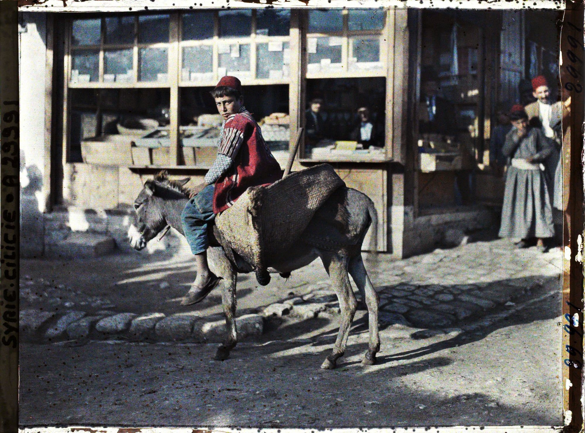 Image représentant Garçonnet Alawite sur son âne