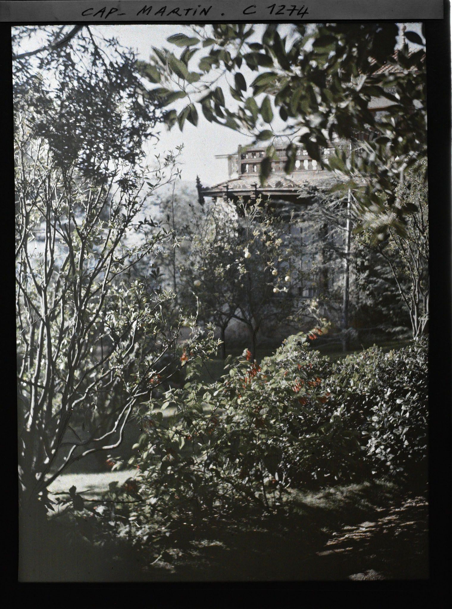 Image représentant Cap Martin. Villa Miramar