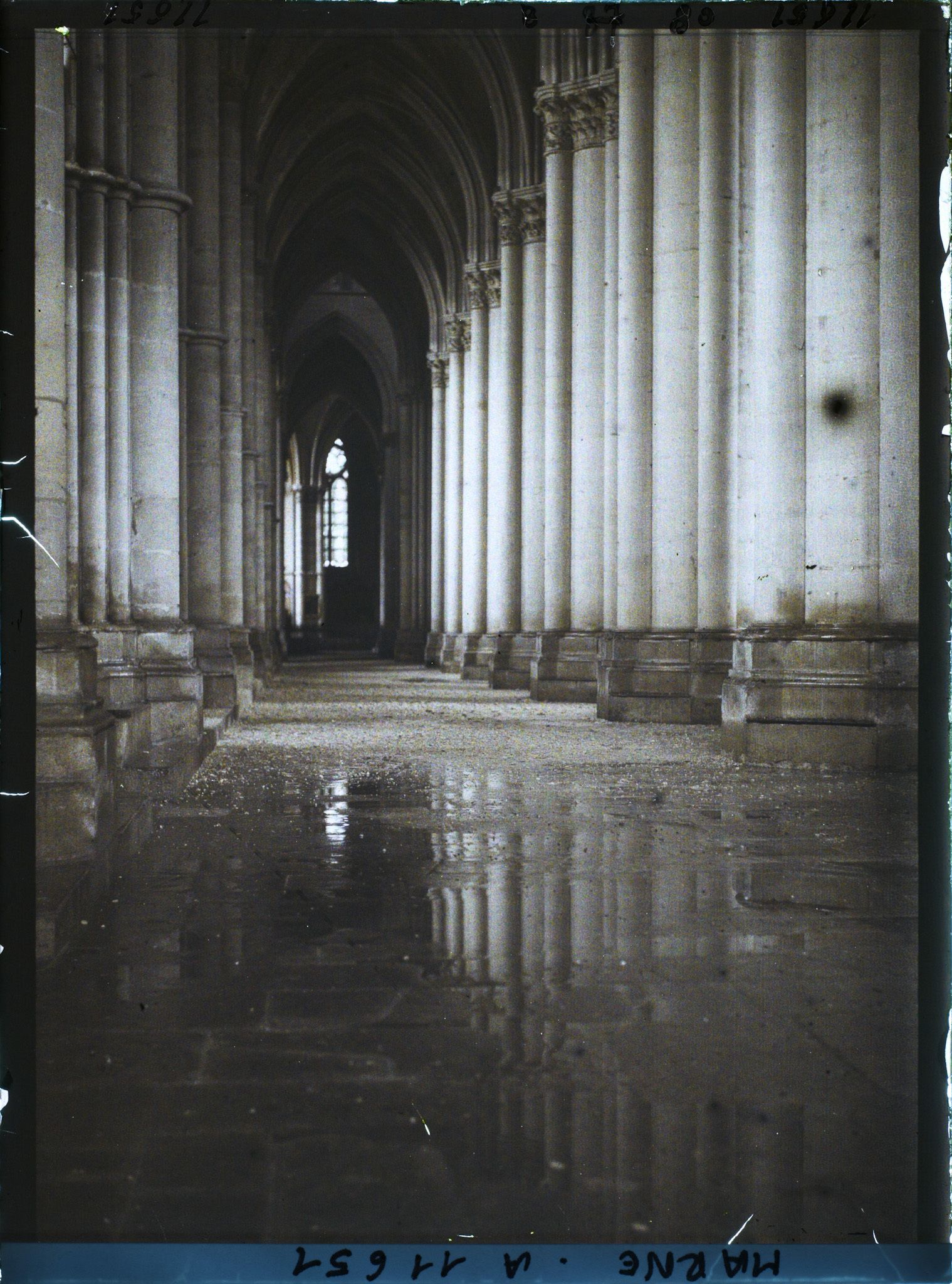 Image représentant France, Reims, Cathédrale, Bas Côté