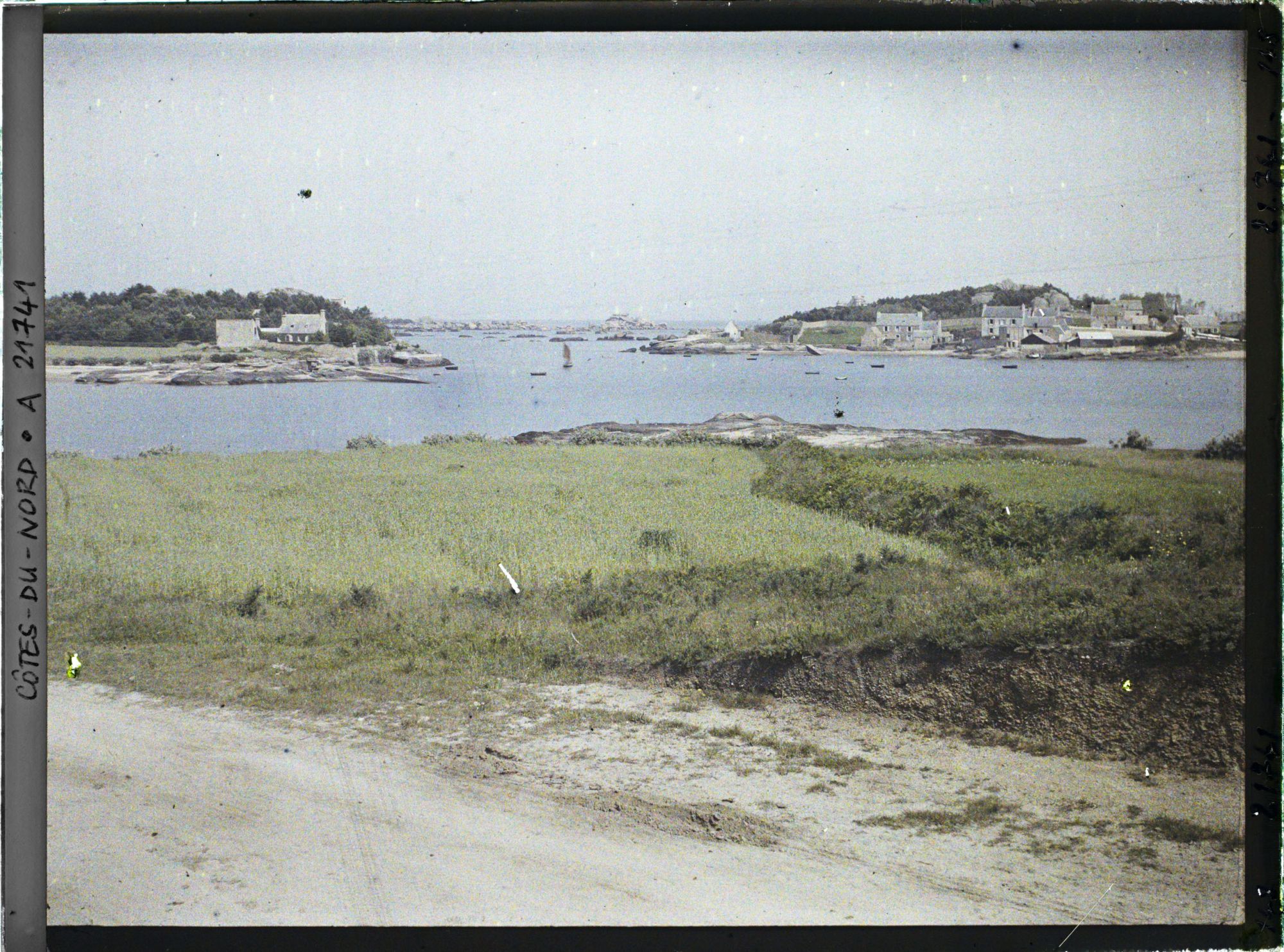 Image représentant L'entrée du port de Ploumanach ; au premier plan, un champ de blé