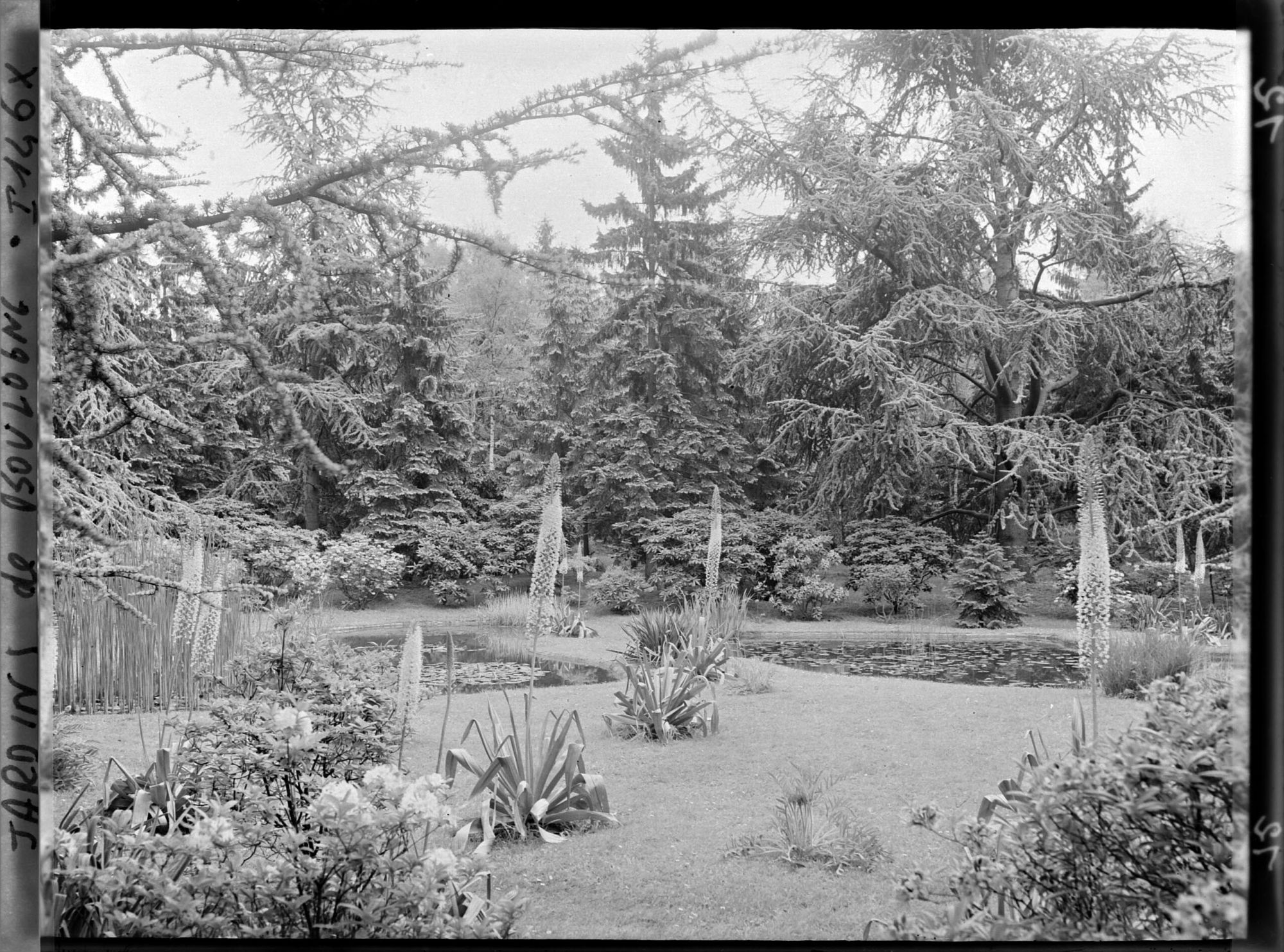 Image représentant Le marais