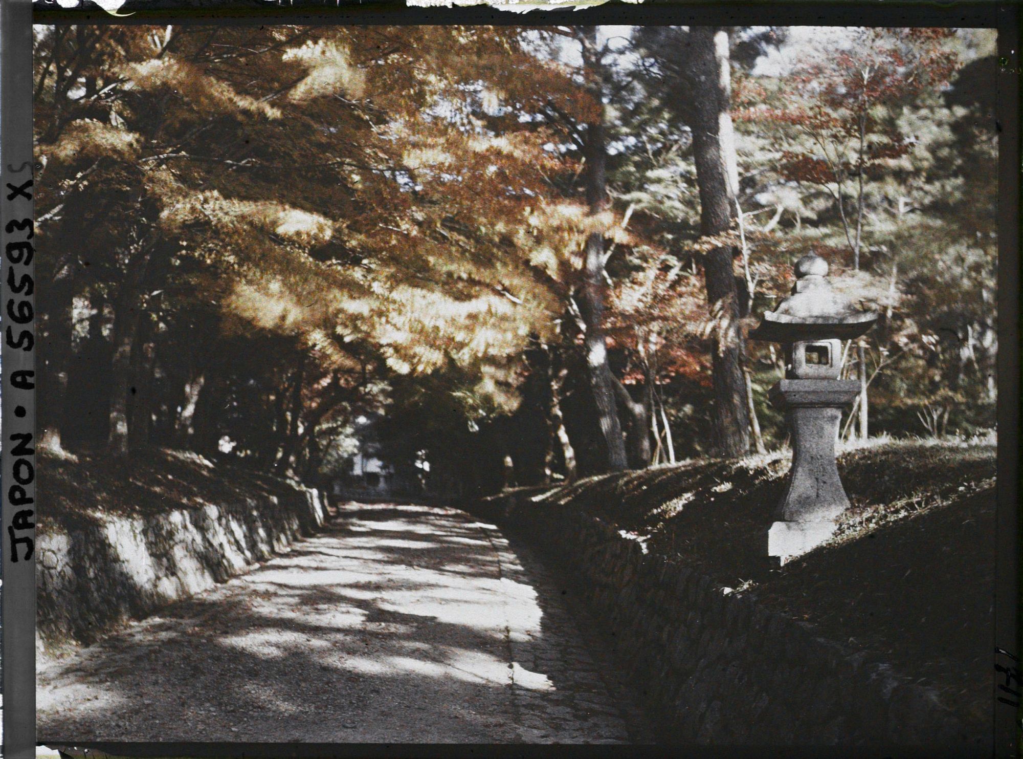 Image représentant Chemin menant au temple Sekizan Zen-in