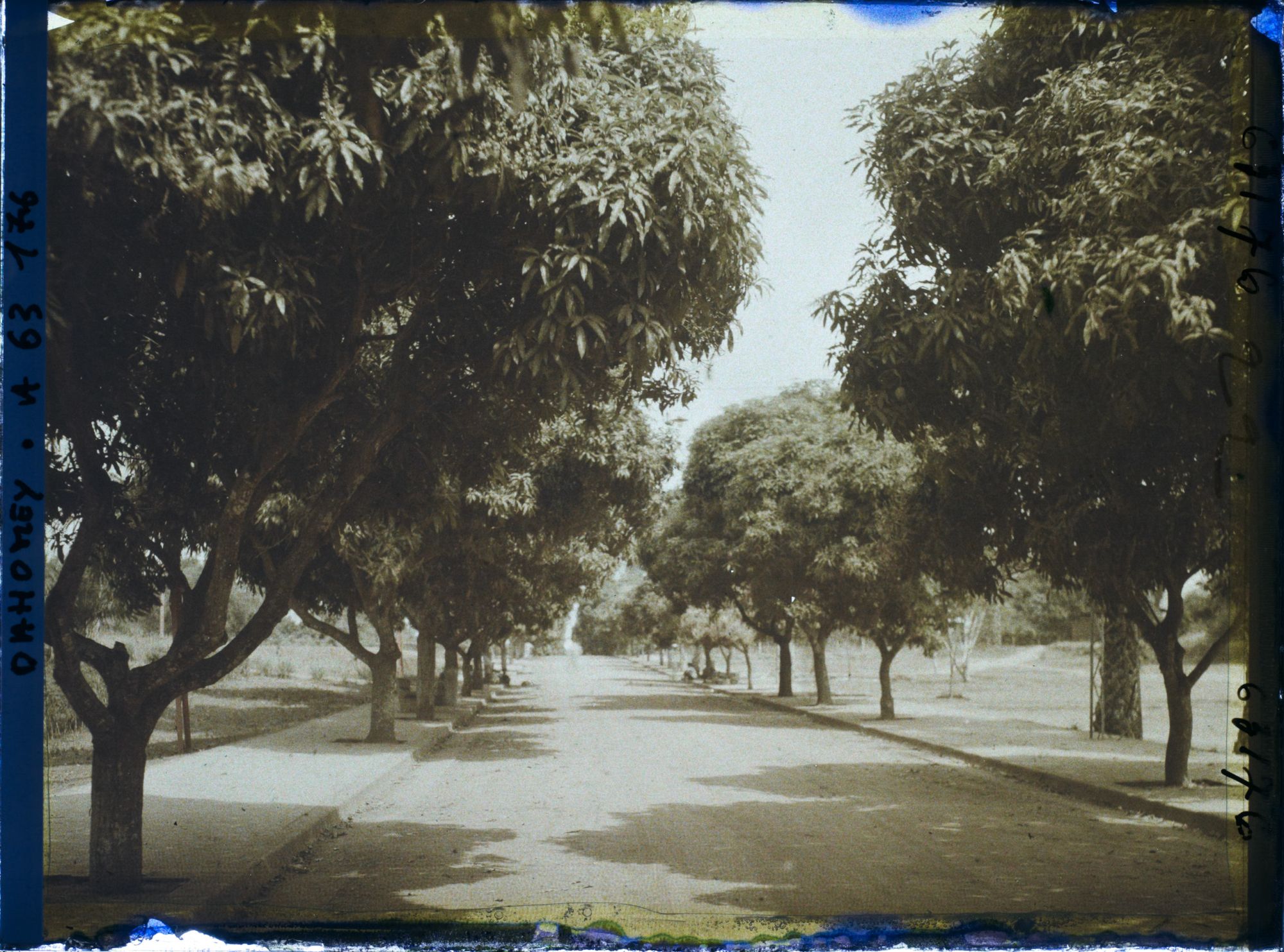 Image représentant L'avenue du Gouvernement (?)