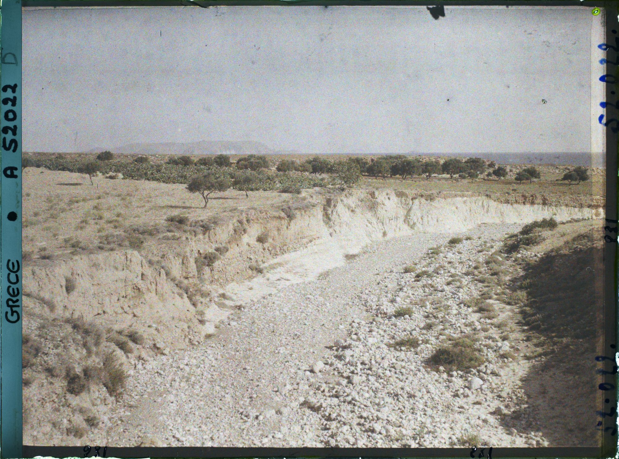 Image représentant Vallée de Gouves vers la mer. Oliviers et vignes
