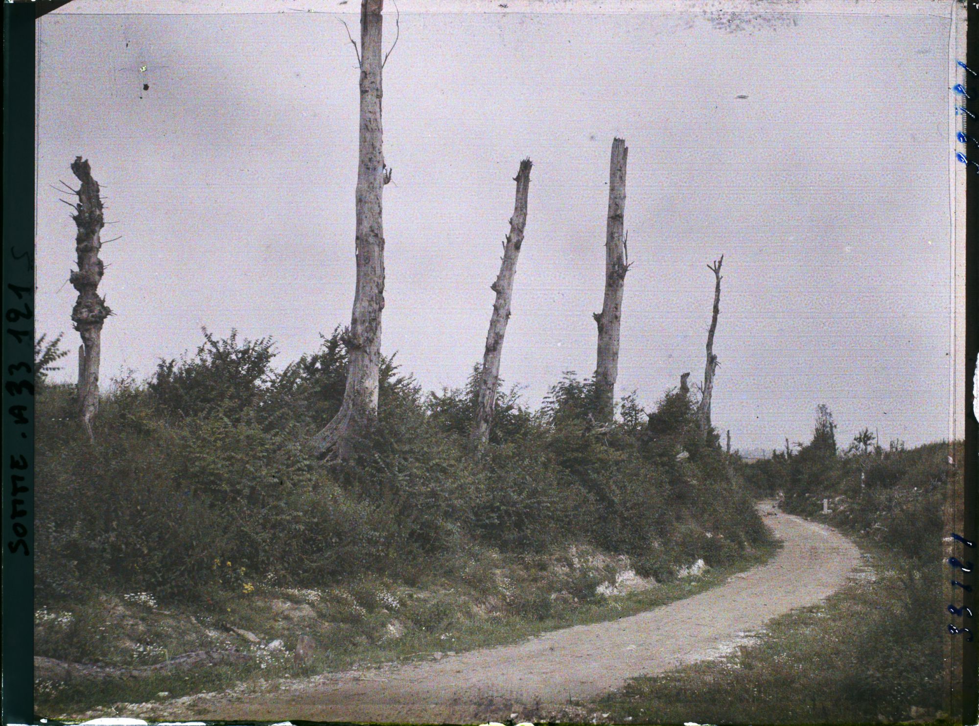 Image représentant France, Les Beufs, Route de Les Beufs à Flers