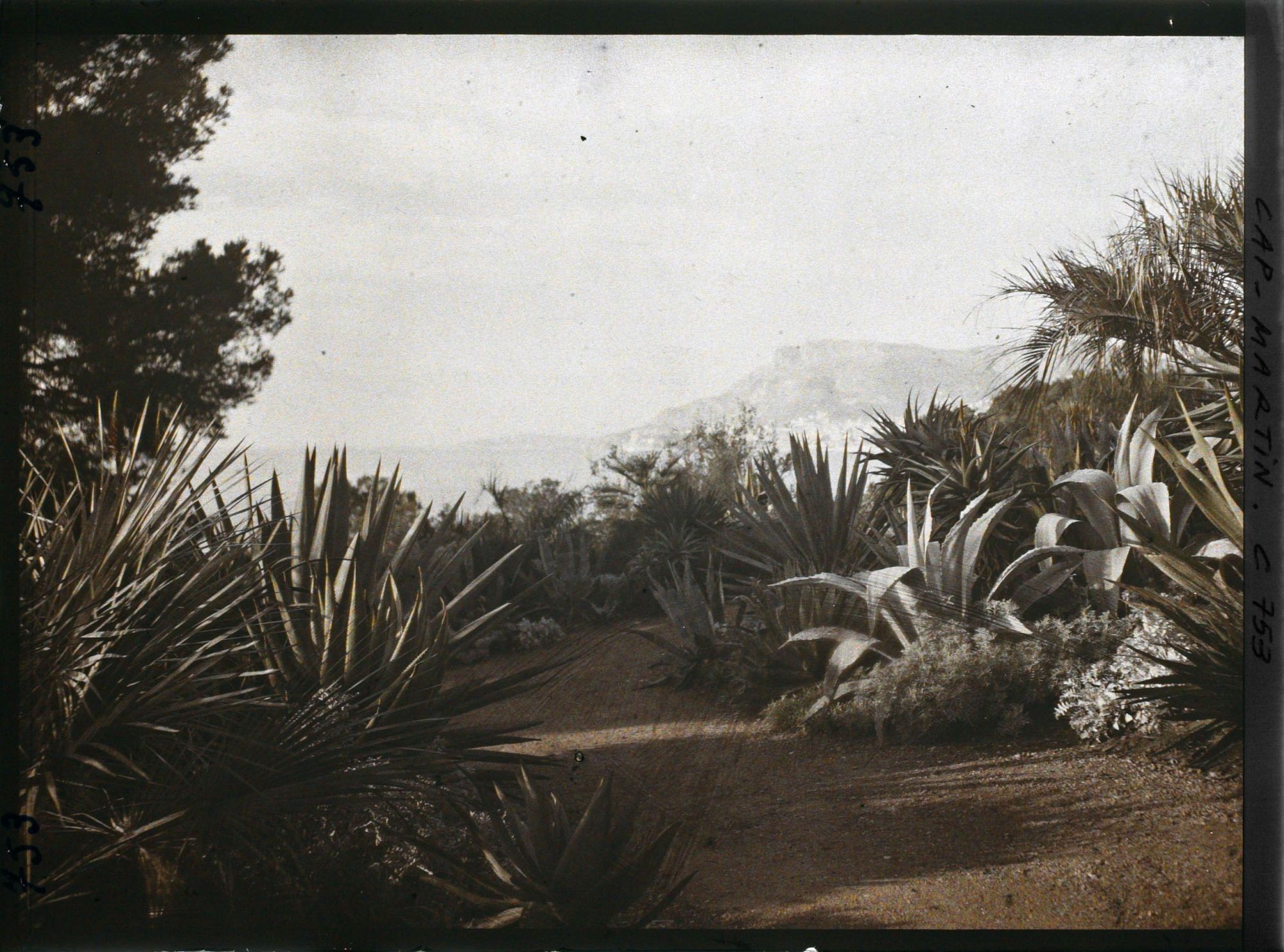 Image représentant le jardin