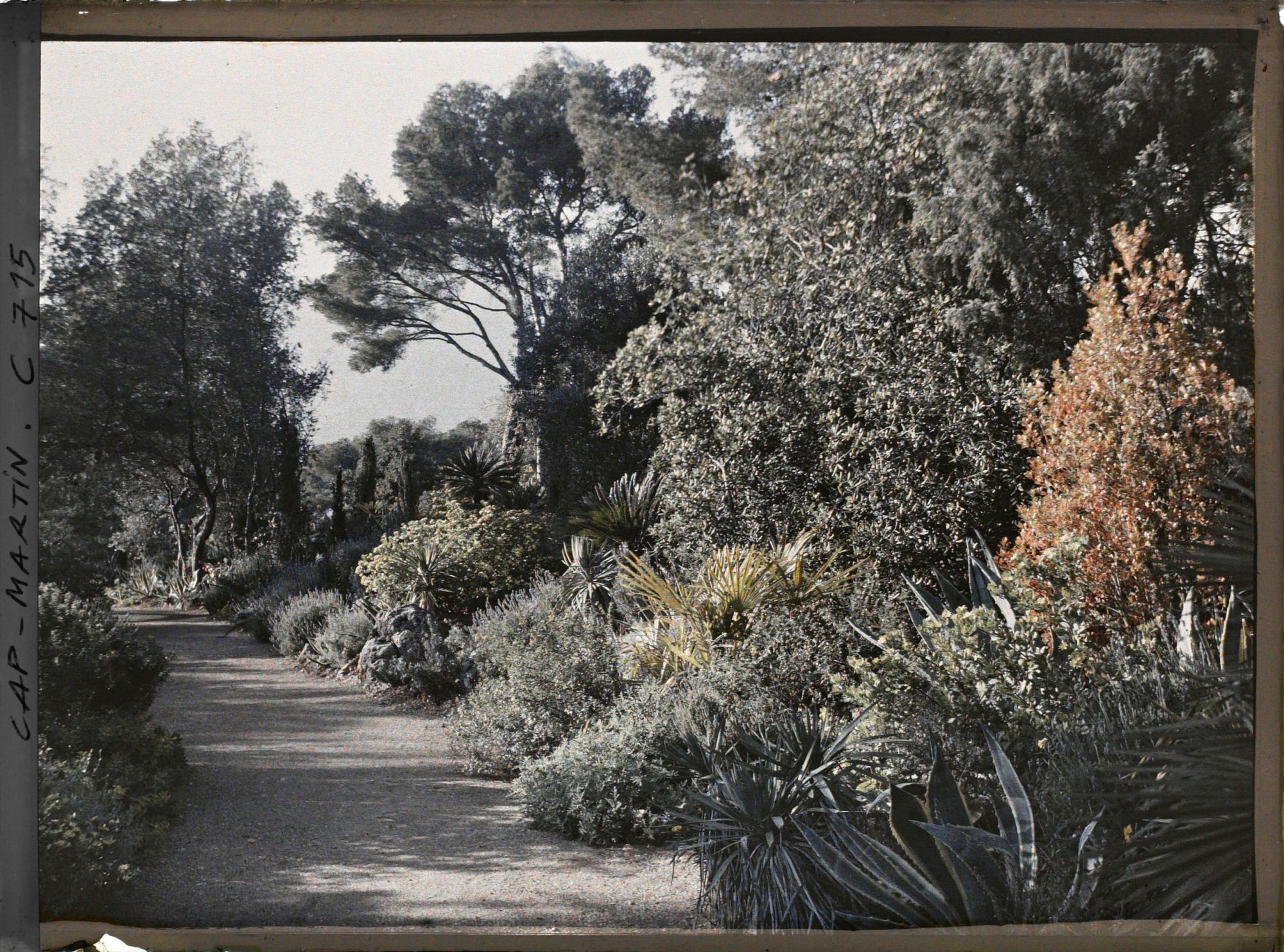 Image représentant Jardin divers