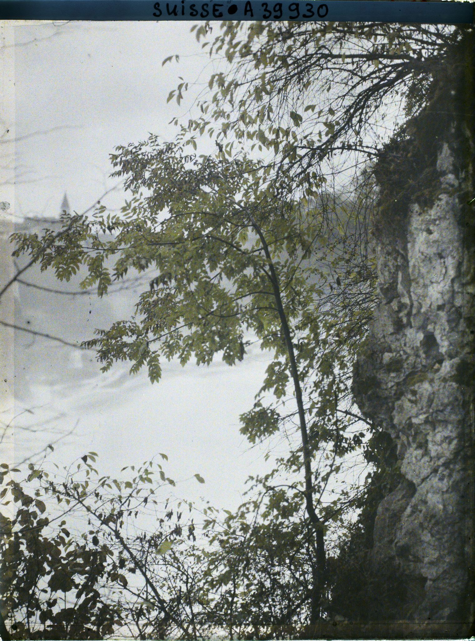 Image représentant Les chutes du Rhin vues du château de Laufen