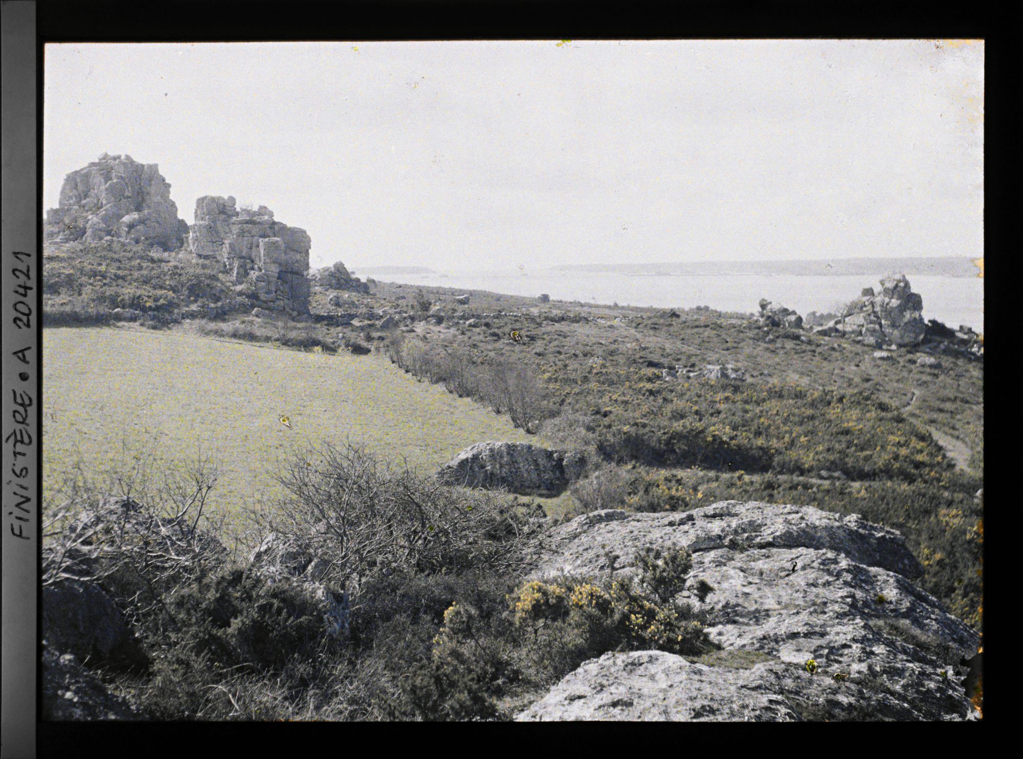 Image représentant Paysage avec à l'arrière-plan la rade de Brest