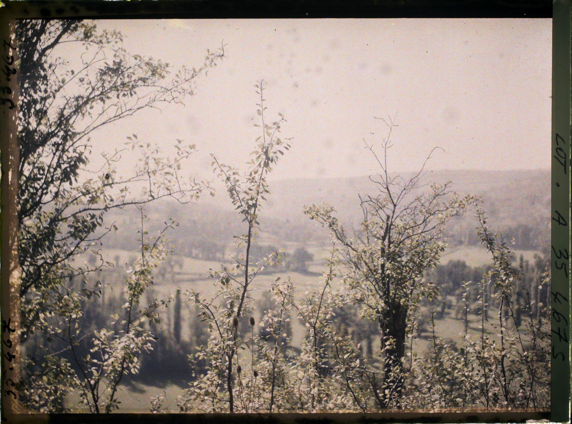 Image représentant France, Capdenac (Lot), Un aspect de la vallée du Lot vue de la route de Capdenac direction Figeac