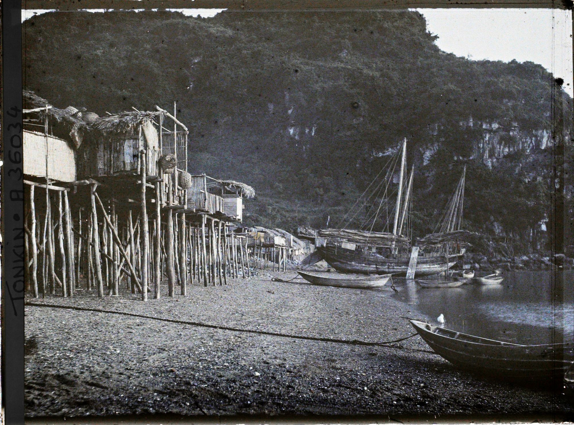 Image représentant Des maisons sur pilotis près du poste de douane de l'île Cat-bà