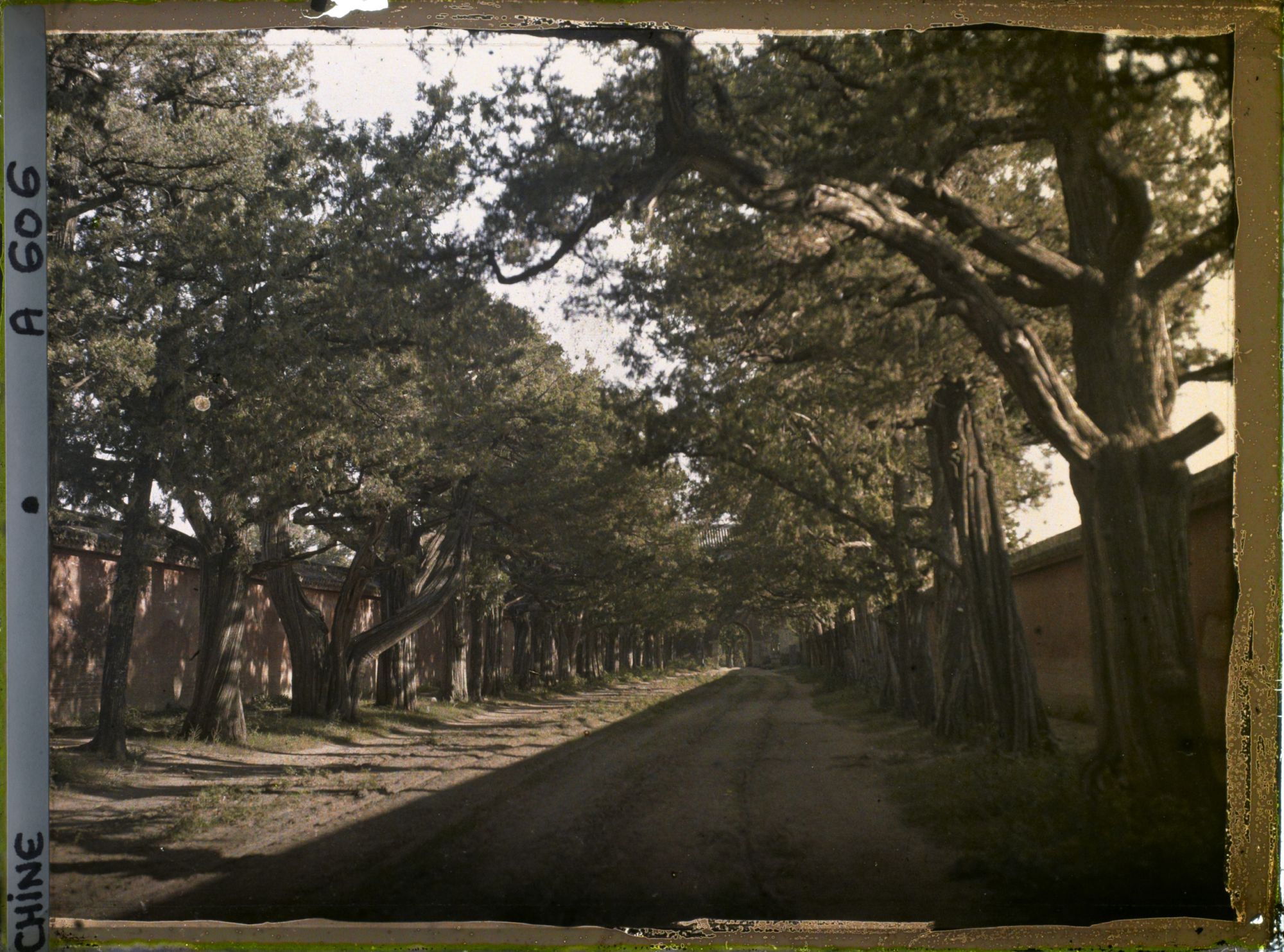 Image représentant Konglin, la nécropole de la famille de Confucius
