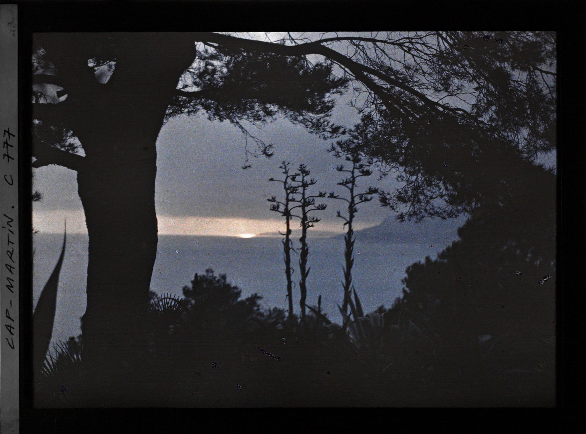Image représentant Coucher de soleil sur la mer vu du jardin