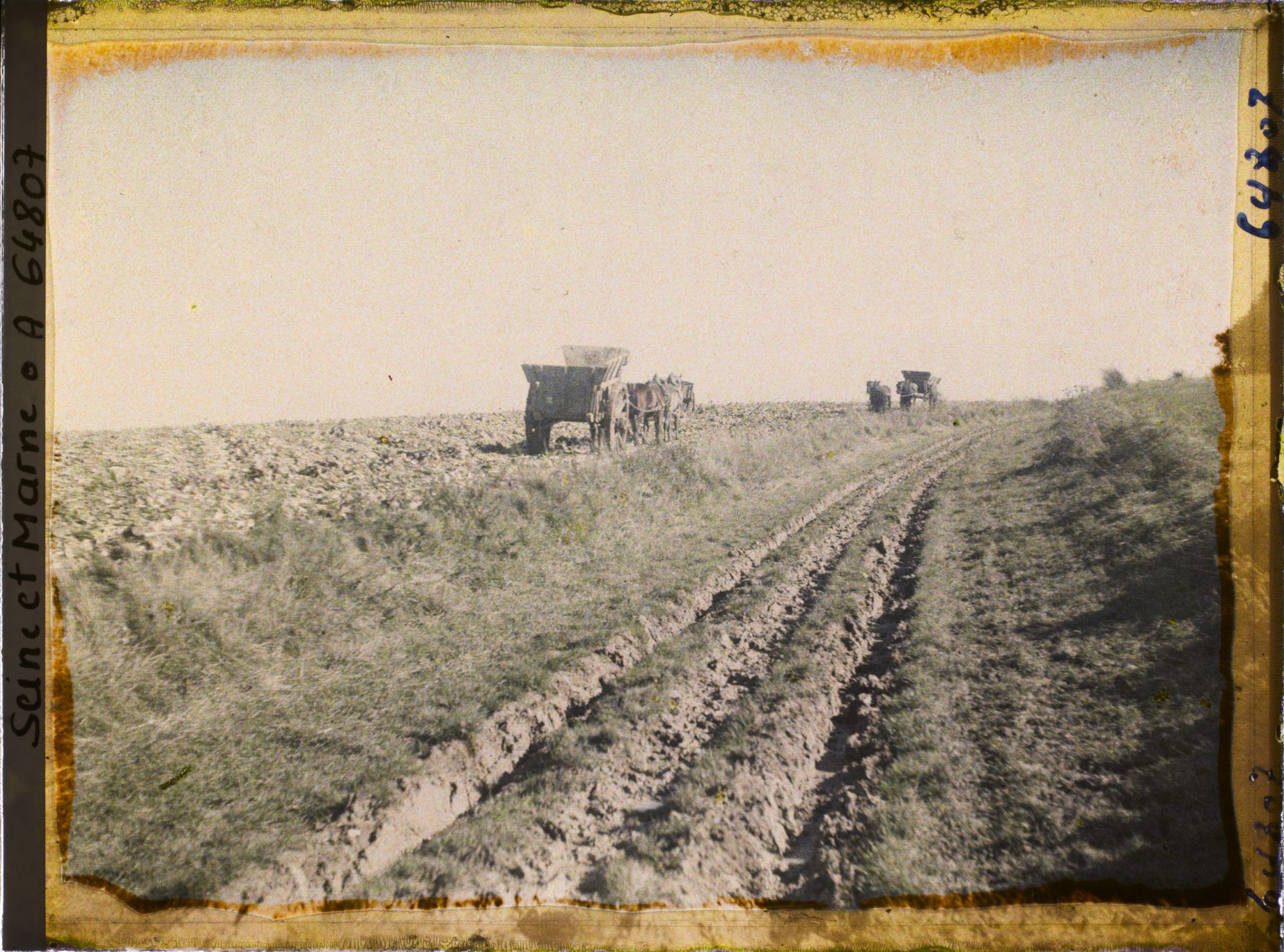 Image représentant Seine et Marne, Guermantes, Champs de Betteraves