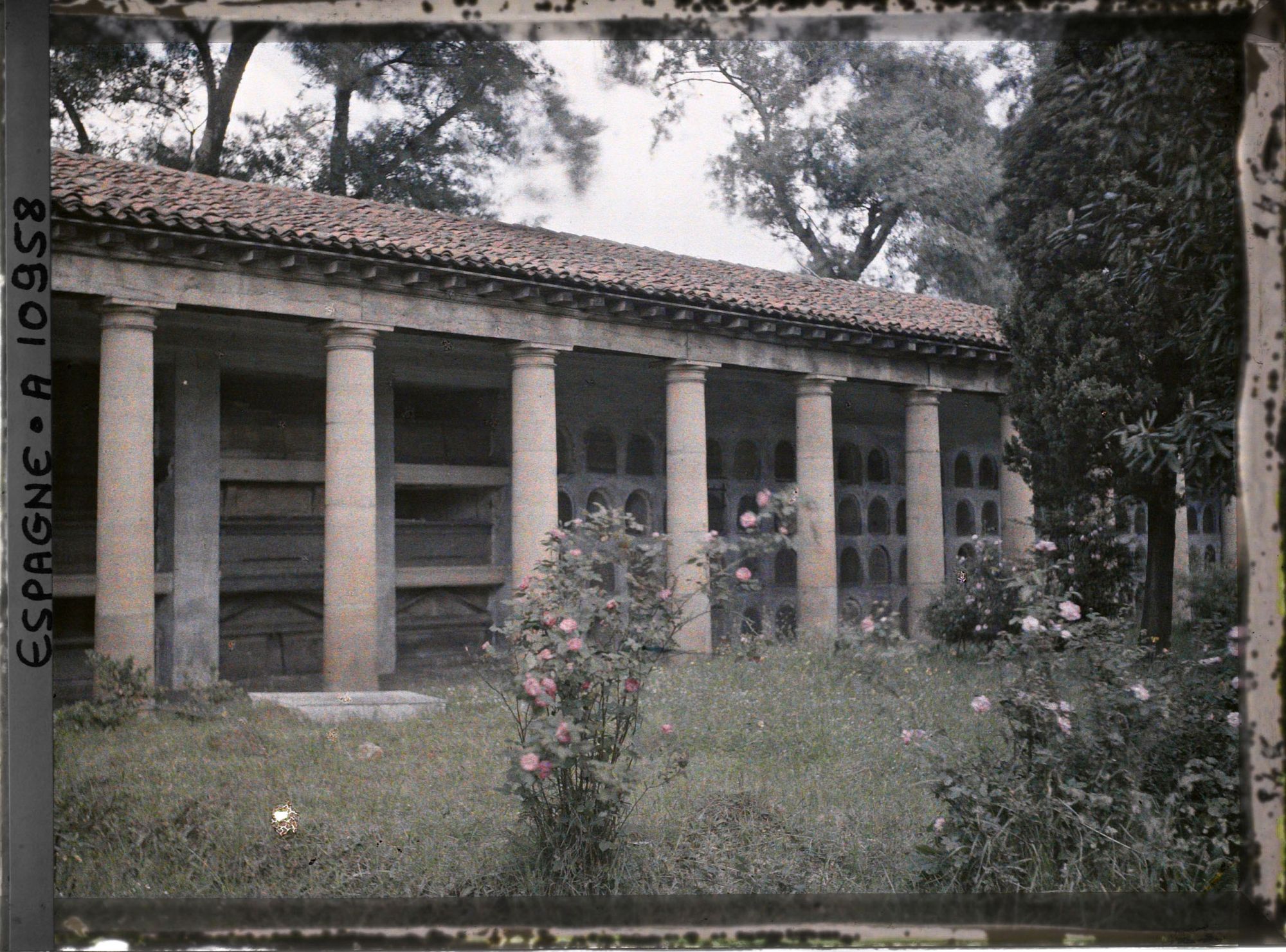Image représentant Espagne, Bilbao, L'ancien Cimetière de Bilbao, La Colonnade et les niches des morts avec roses au 1er plan.