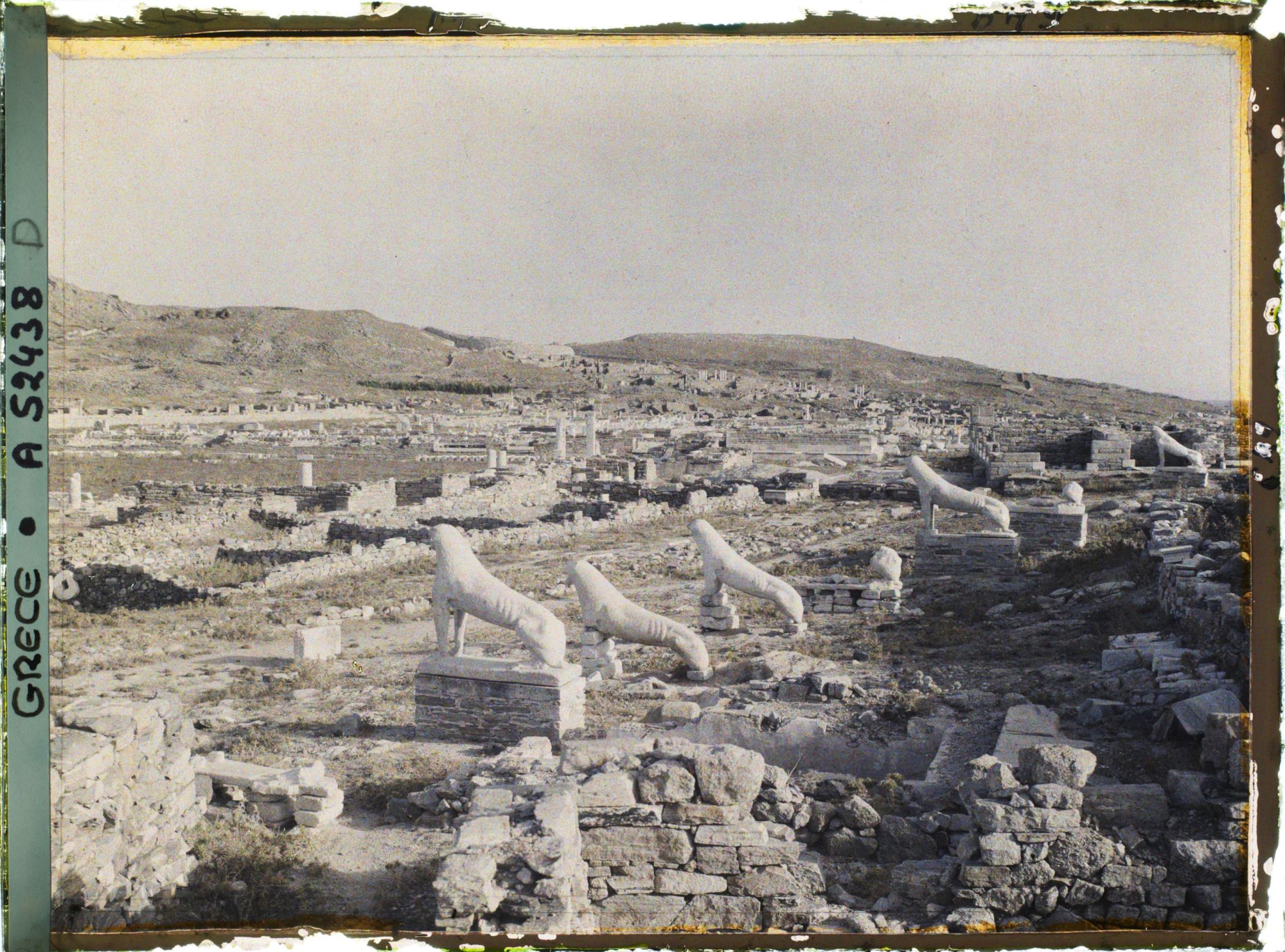 Image représentant La Terrasse des Lionnes