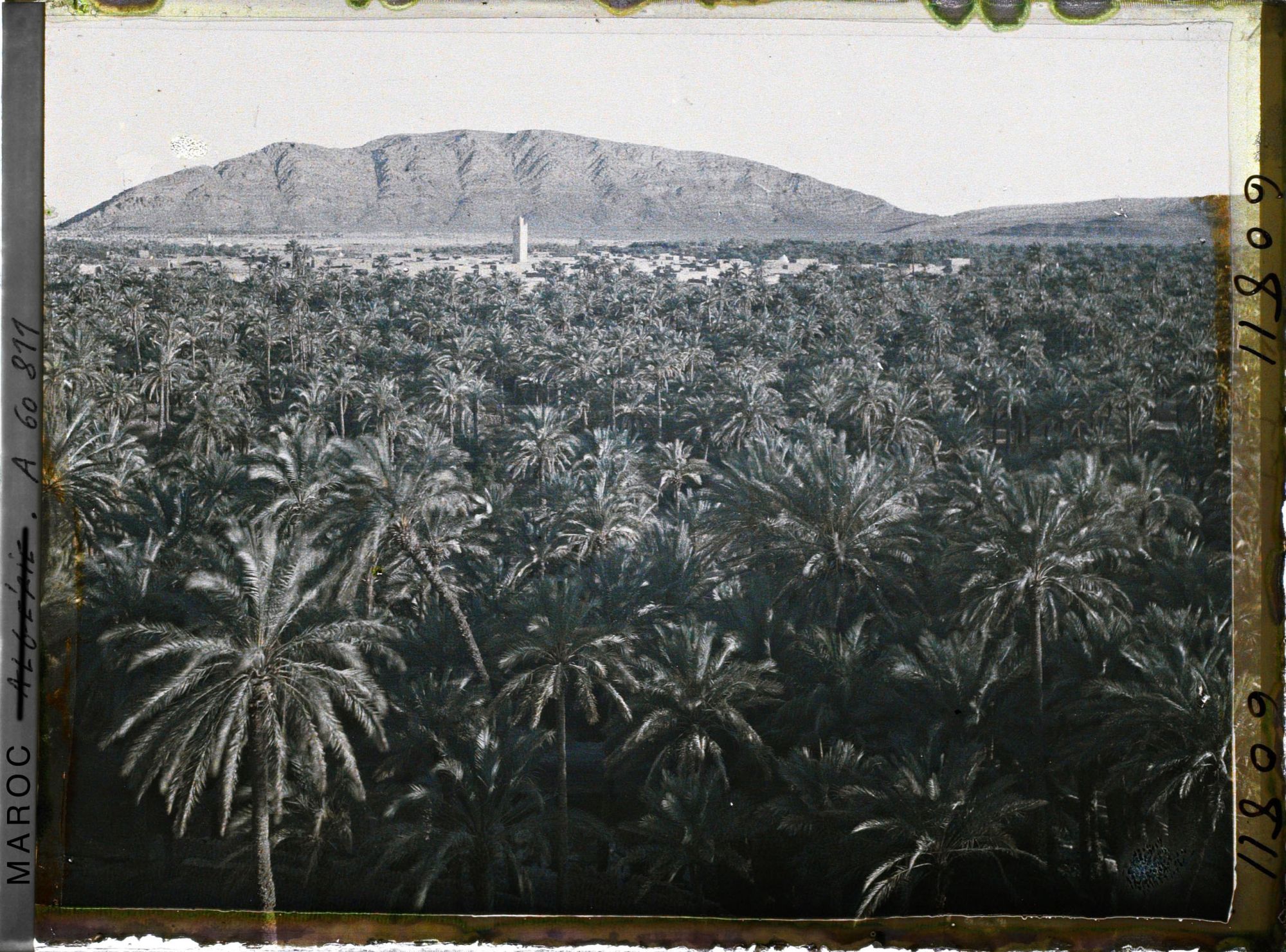Image représentant Le soir, vue sur la palmeraie de Zenaga