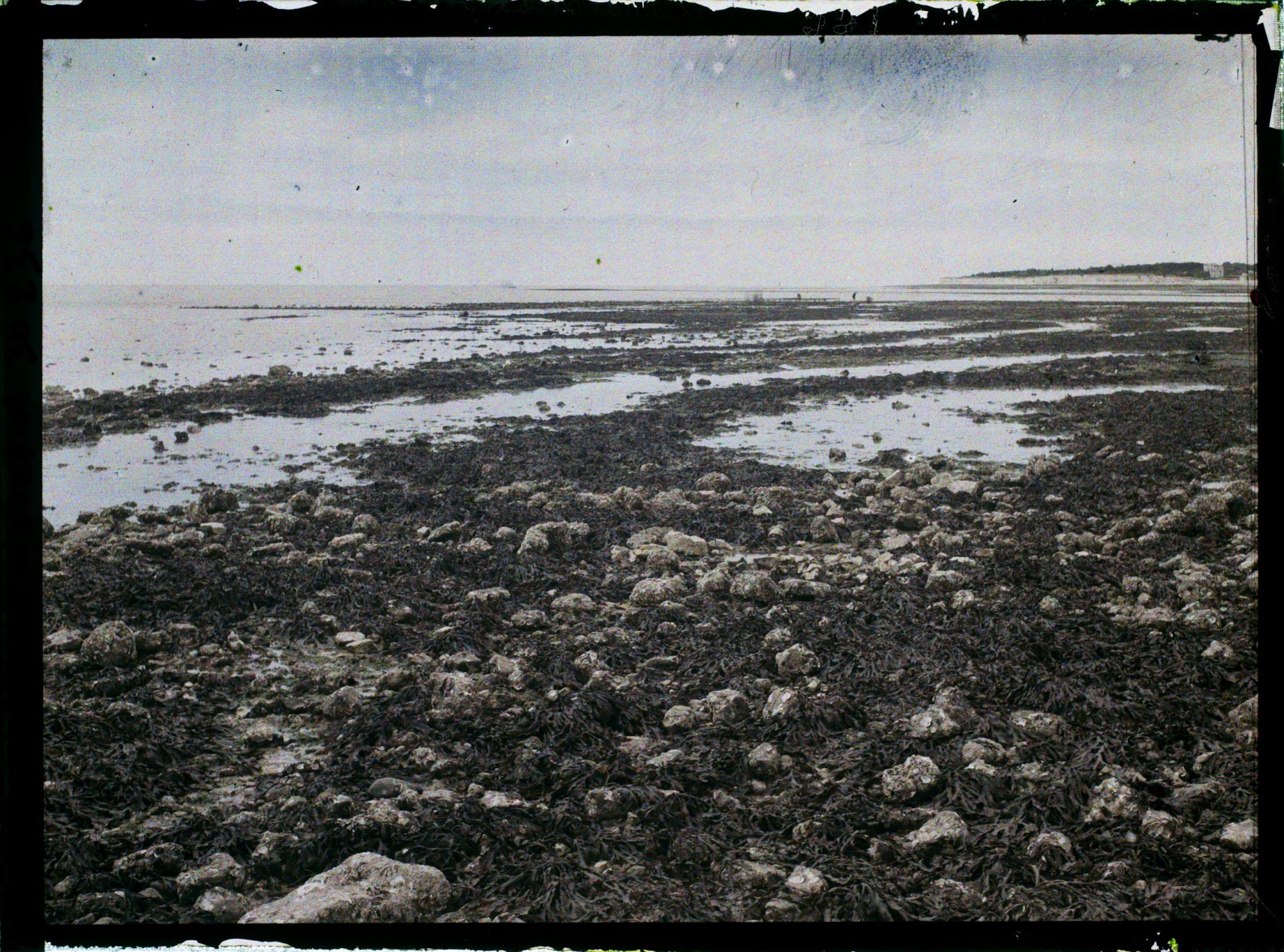 Image représentant Sur l'océan Atlantique, la promenade, actuelle avenue des Minimes