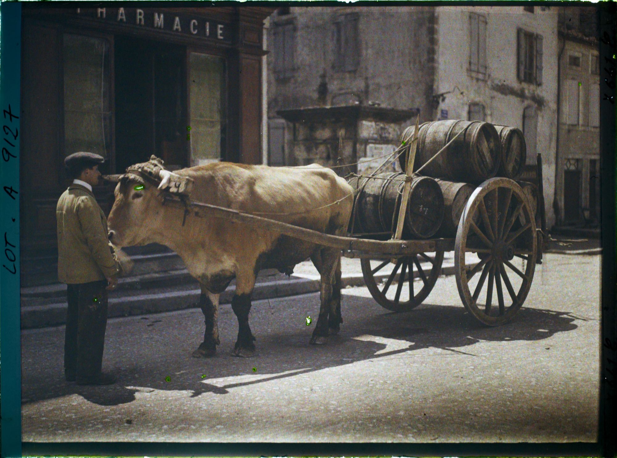 Image représentant France, Luzech, Un b?uf attelé et charrette portant le vin de Cahors