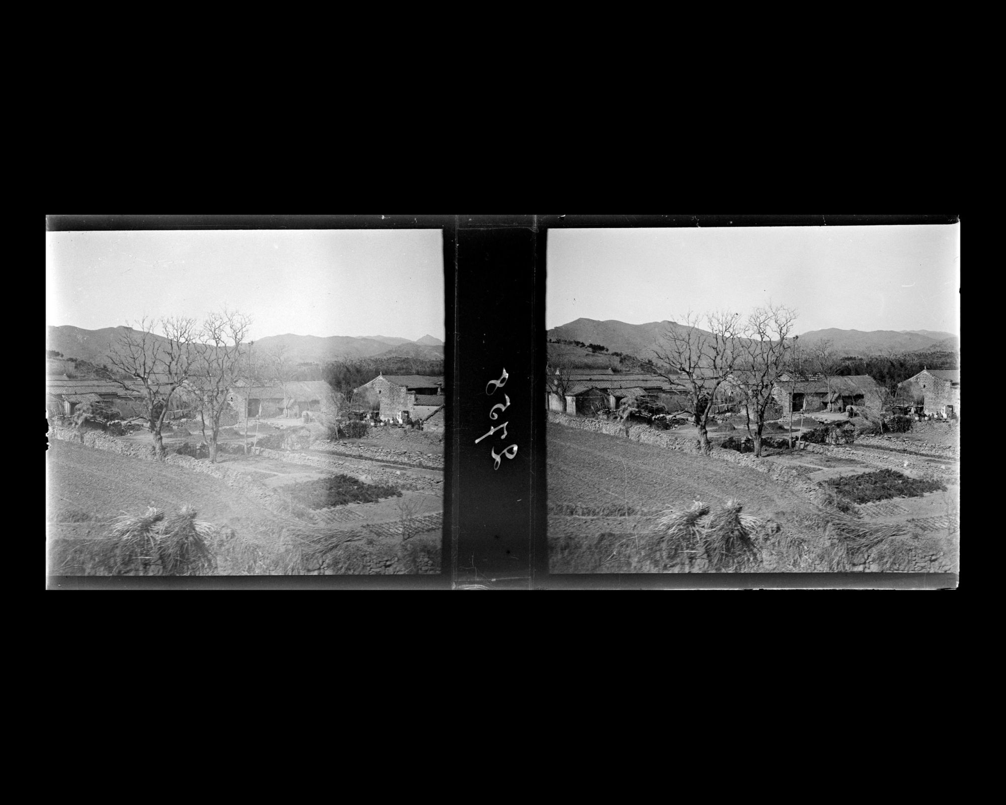 Image représentant Paysage rural vu du train