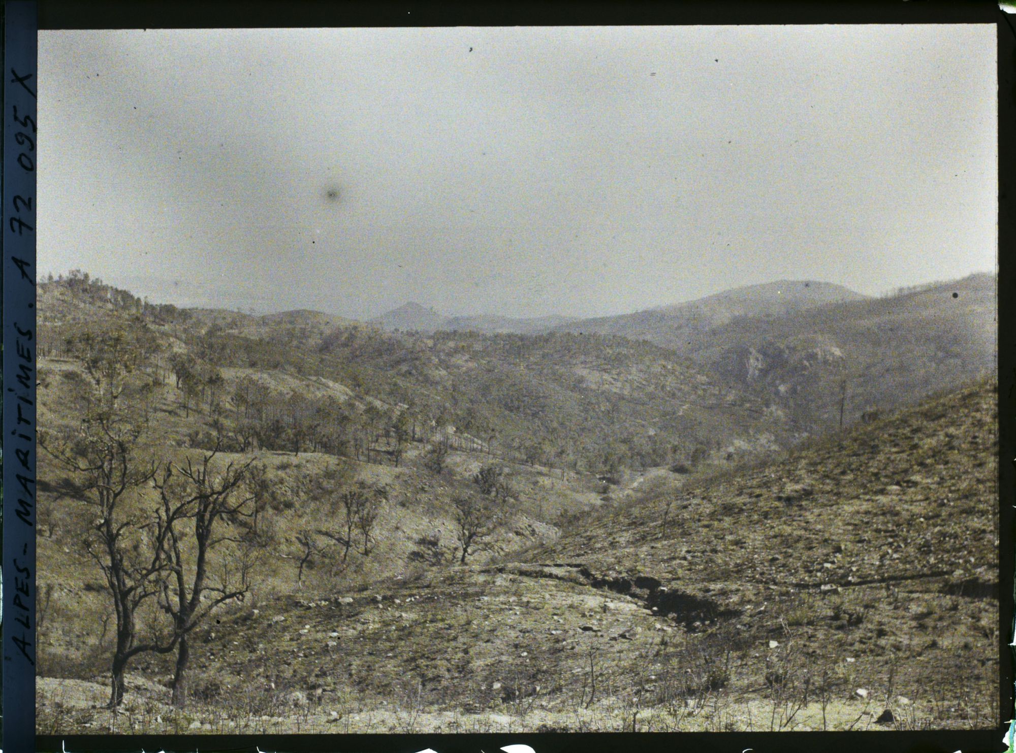 Image représentant Paysage montagneux après un incendie?