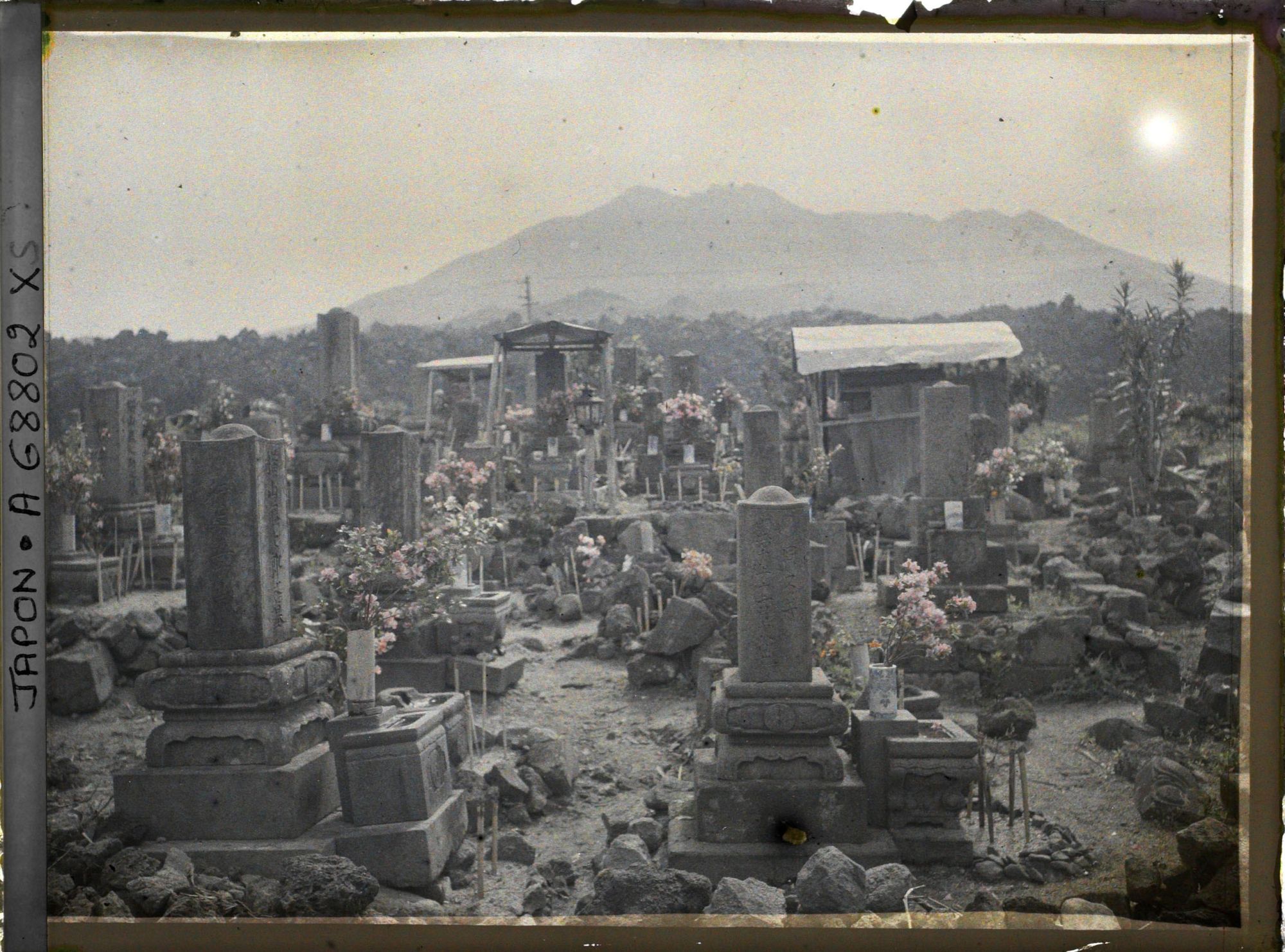 Image représentant Cimetière au pied du Sakurajima