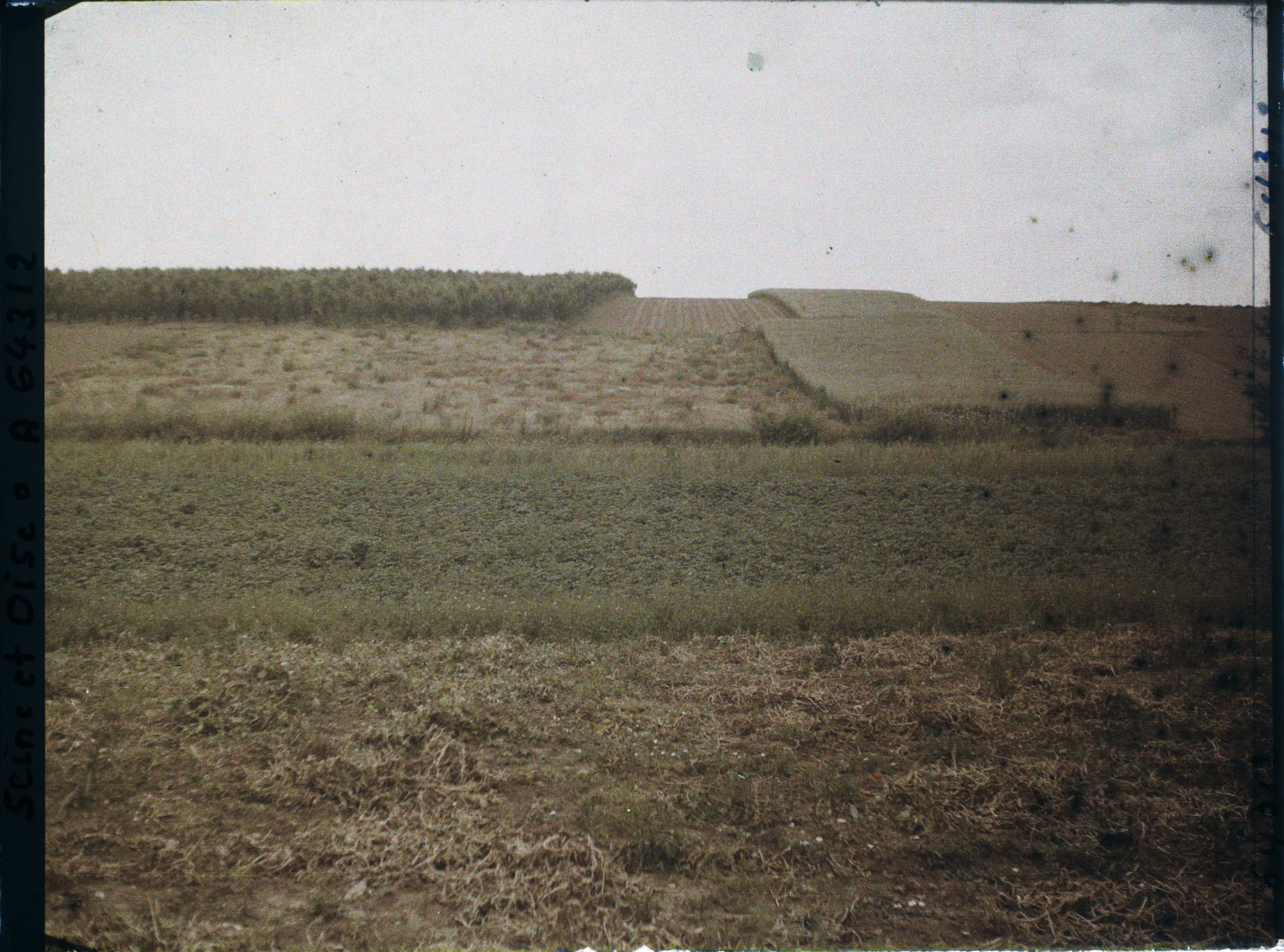 Image représentant Ile de France, Sarcelles-S-Brice, Cultures diverses