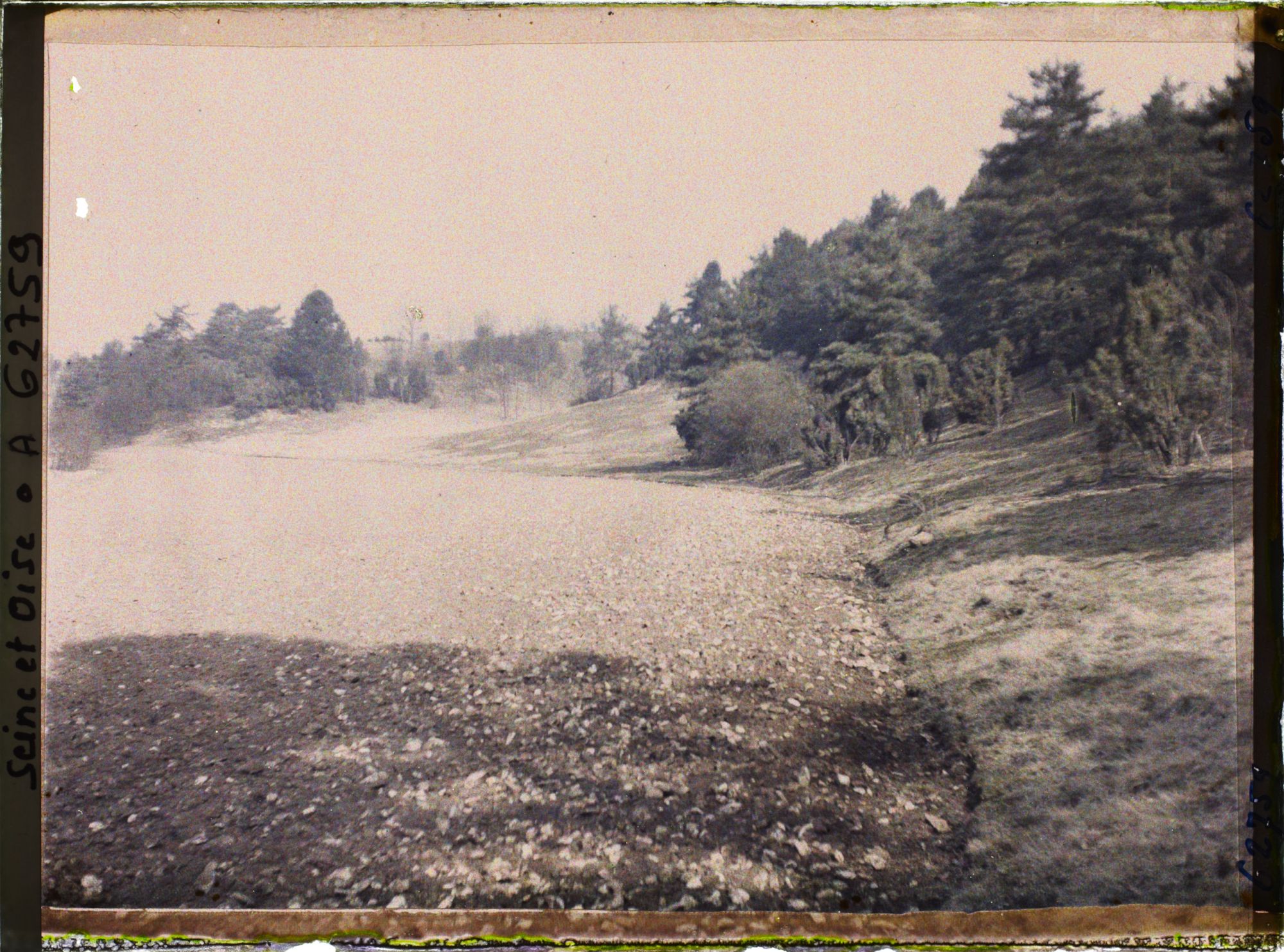 Image représentant Ile de France, Vallangoujard, Terre labourée et ensemencée d'avoine pour la nourriture des lapins de Garenne