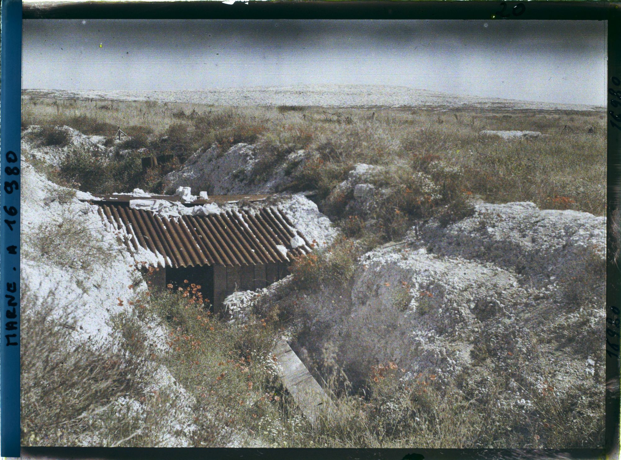 Image représentant France, Tranchée Couverte de Coquelicots