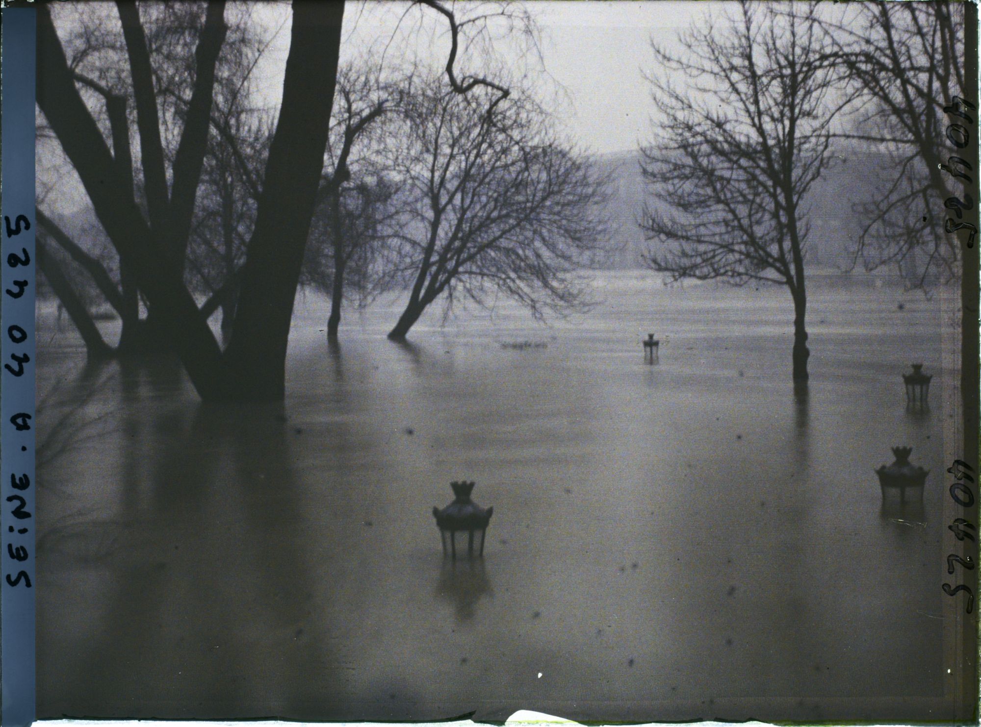 Image représentant La crue de la Seine à la pointe de l'île de la Cité, square du Vert-Galant