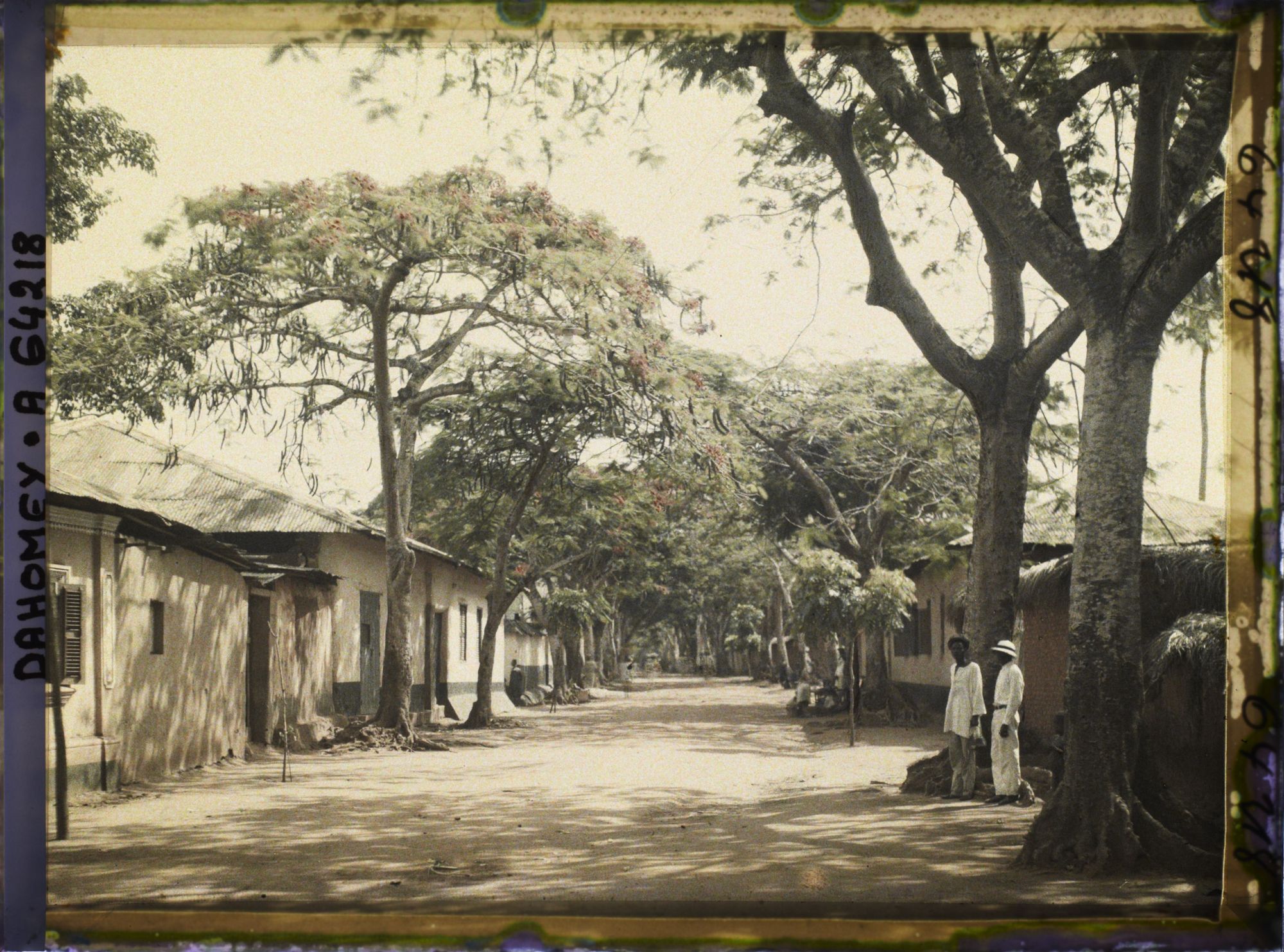 Image représentant L'avenue Gabrielle