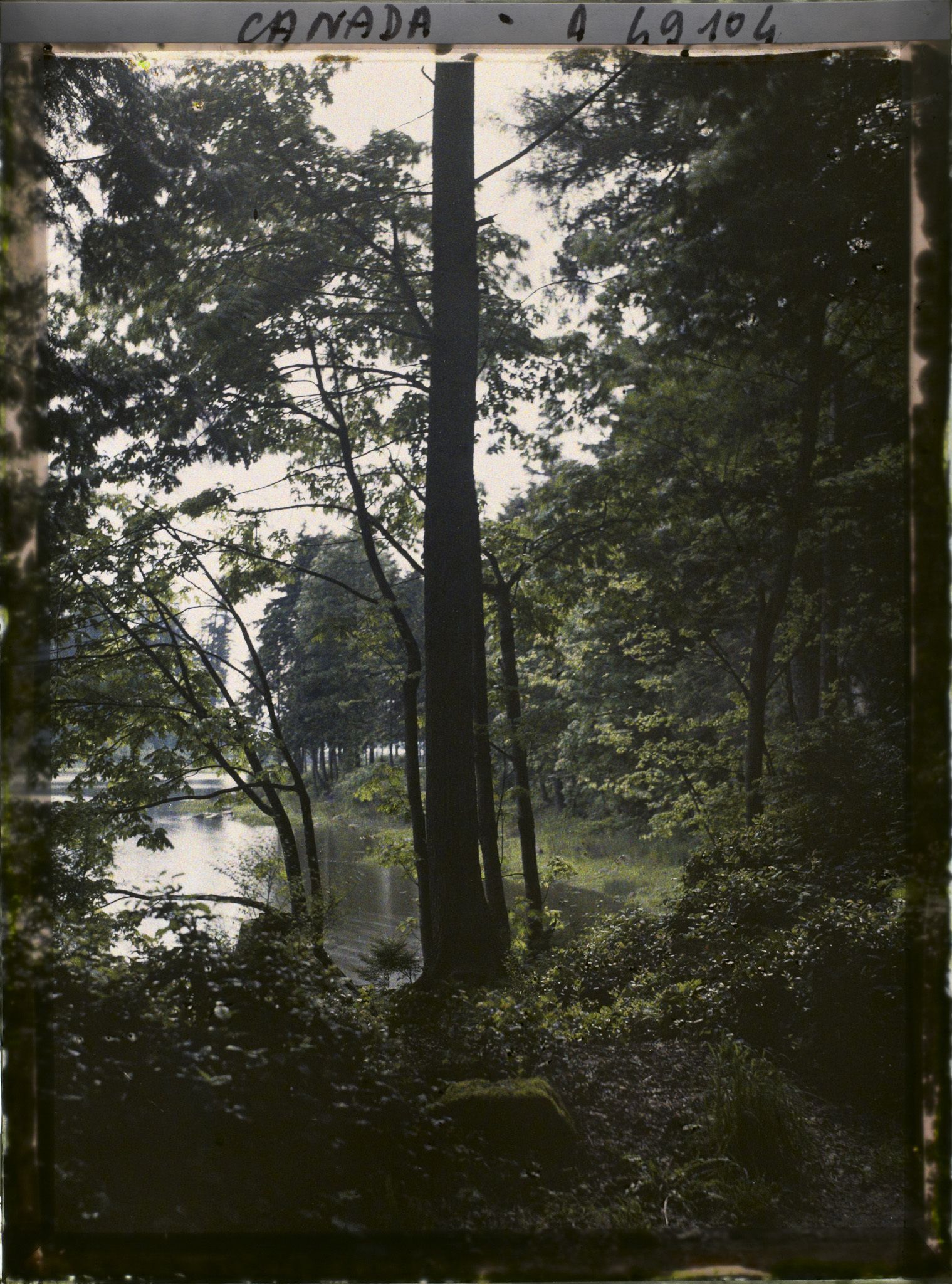 Image représentant Canada, Vancouver, Sous-Bois